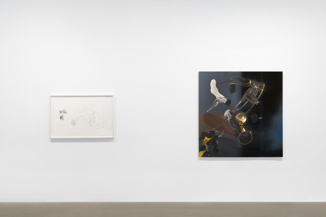 Seth Price, Free Fall at Chantal Crousel, photo 4