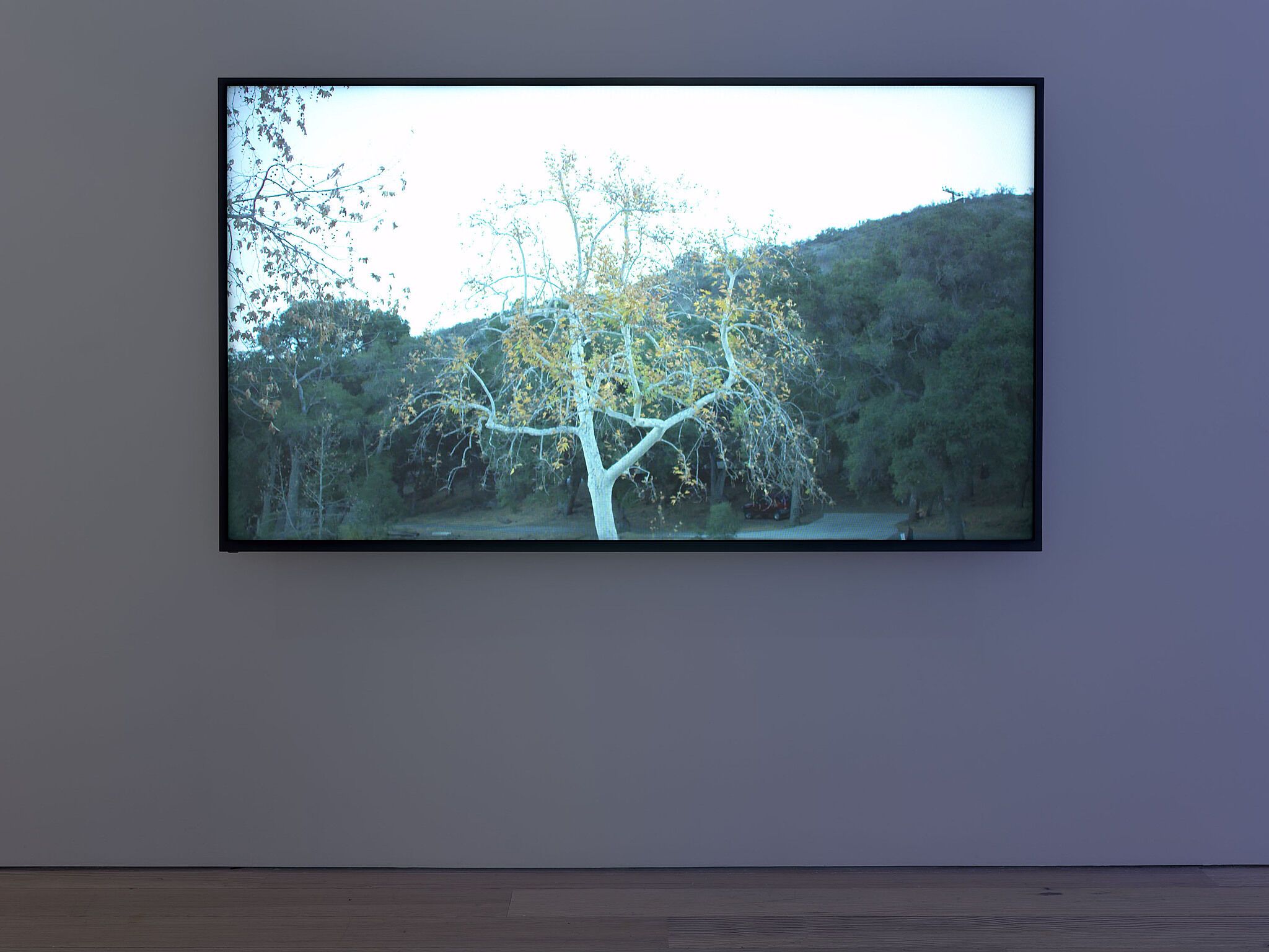 Cauleen Smith, Mutualities at Whitney Museum of American Art, photo 4