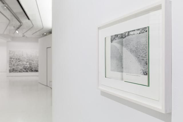 Kim Beck, A Great Piece Of Turf at Mixed Greens, photo 7