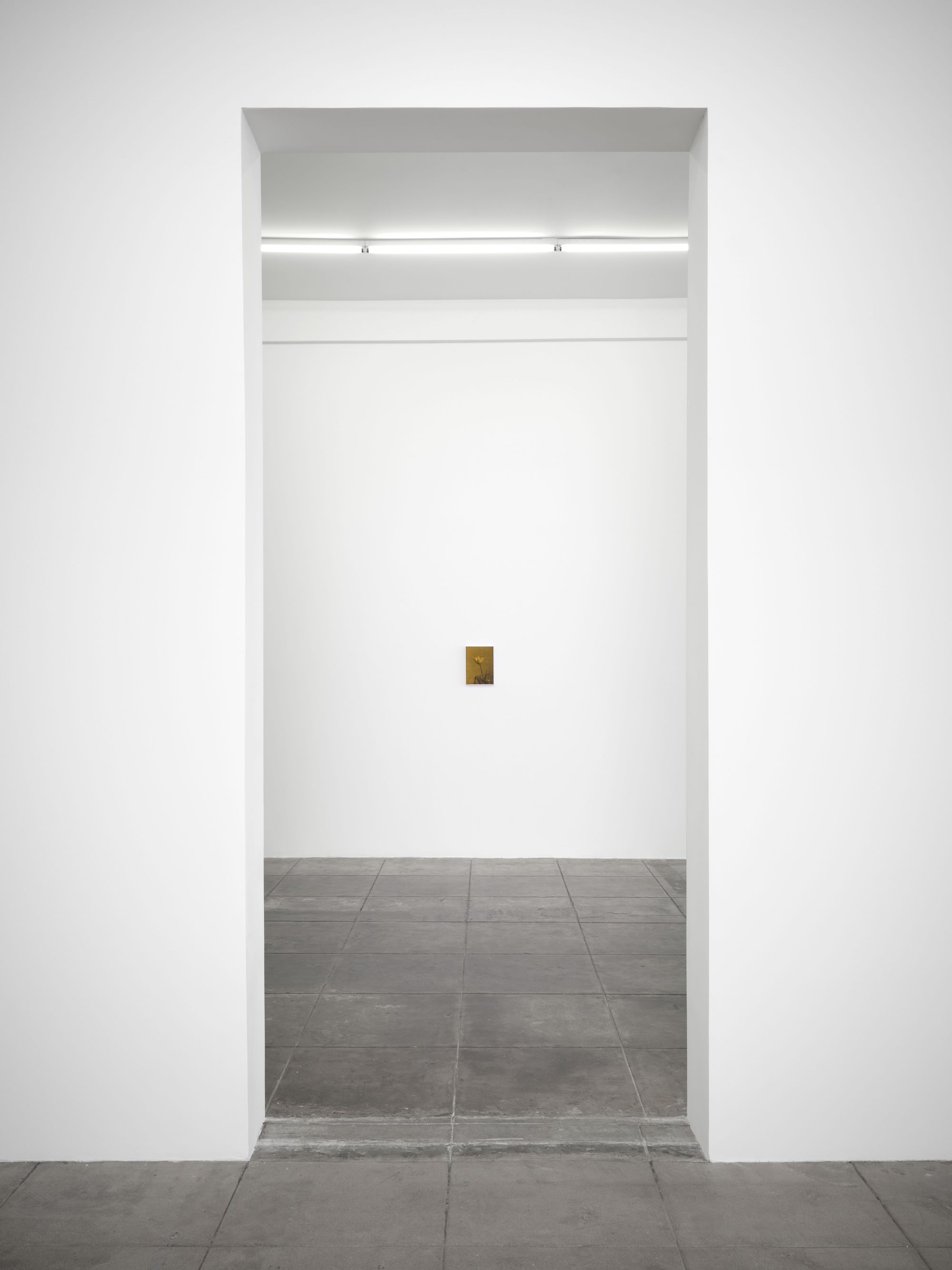 Poppy Jones, Sans Soleil at Overduin & Co., photo 18