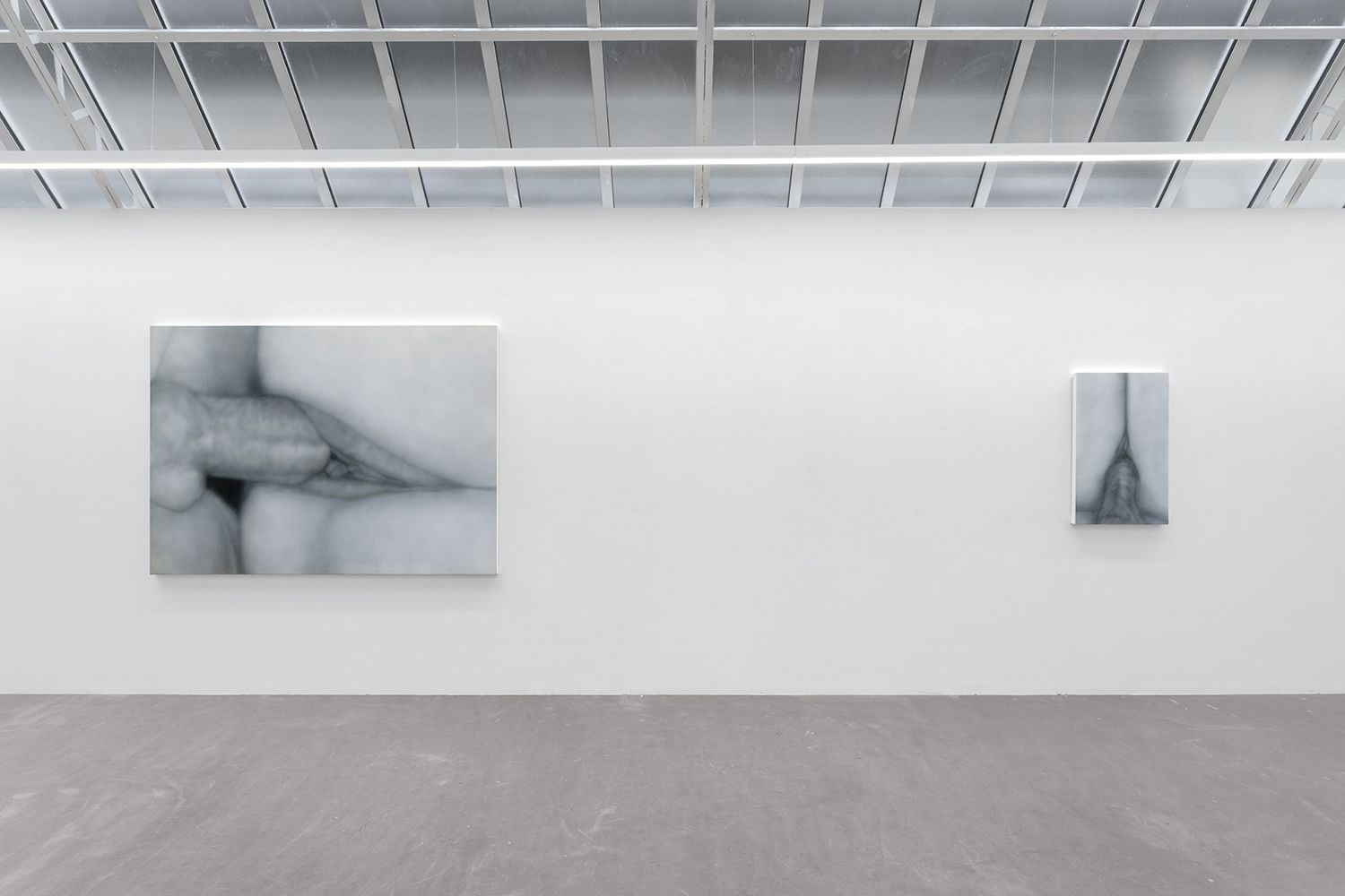 Betty Tompkins, Sex Paintings at Bremond Capela, photo 3