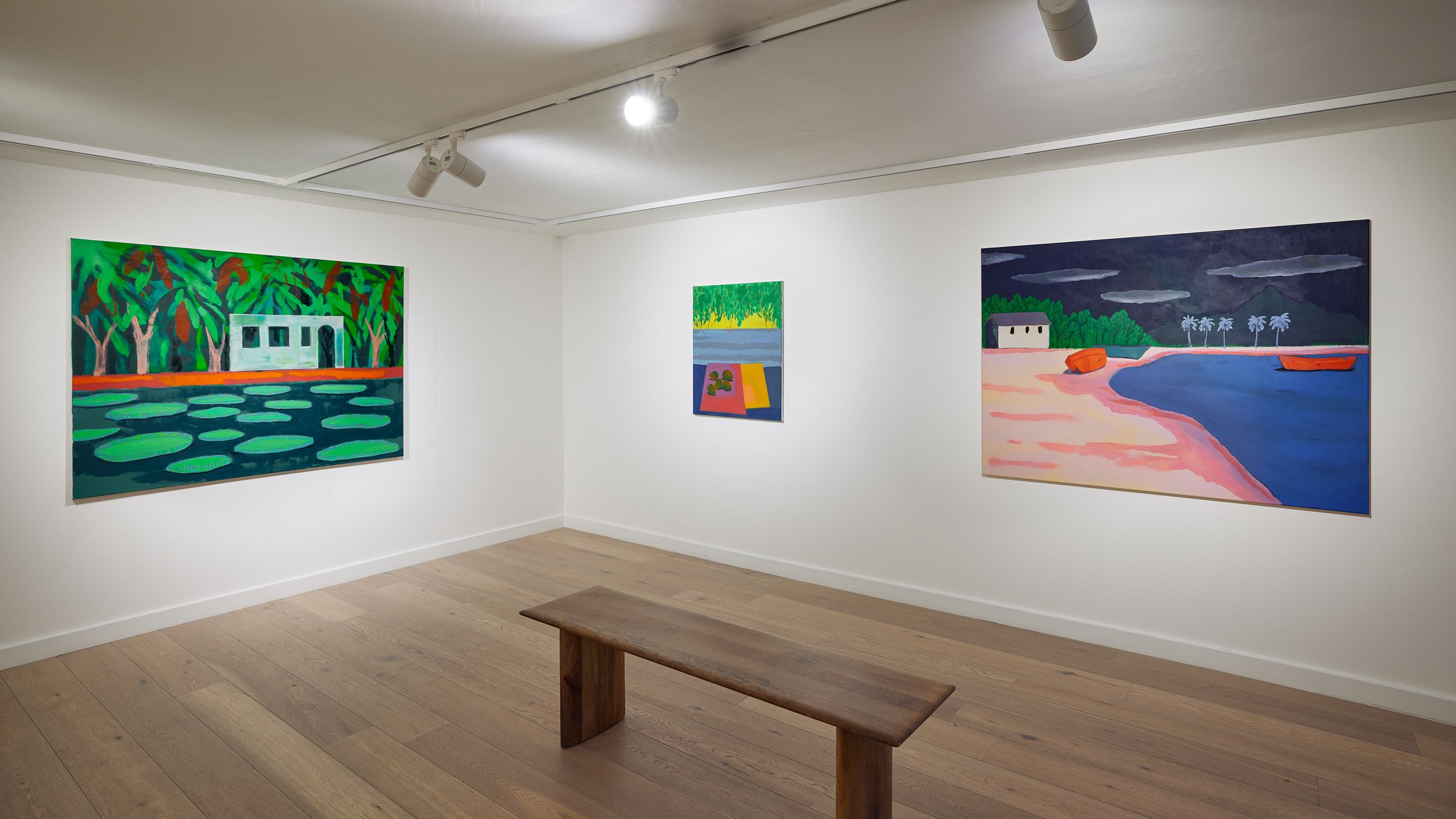 Cara Nahaul, Swimming Lessons at Taymour Grahne Projects, photo 4