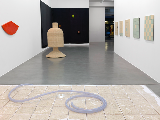 Mai-Thu Perret, Zone at Simon Lee, photo 3