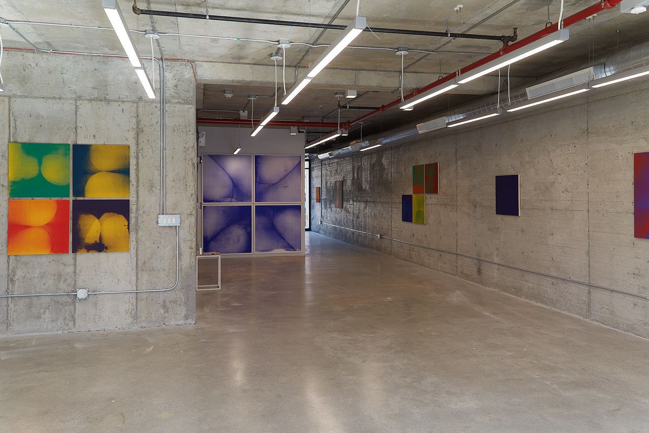Genesis Breyer P-Orridge & Eric Heist, Candy Factory 2: Coum to Thee Nest at New Discretions, photo 2