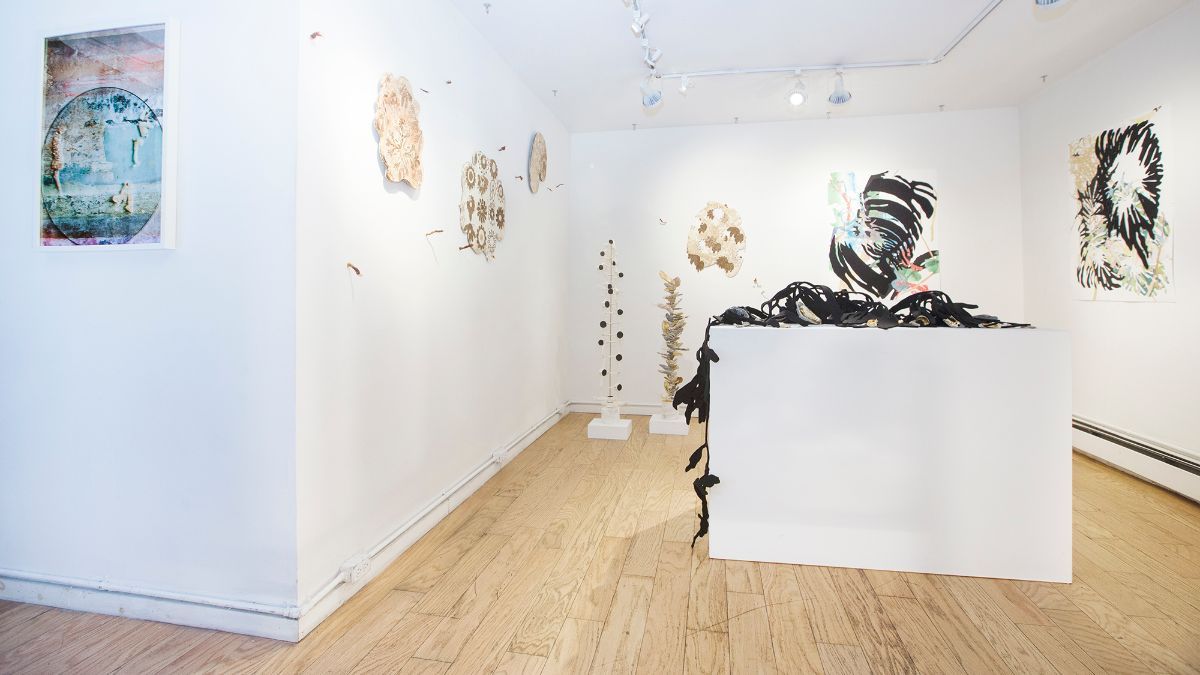 Soft Fascination, Soft Fascination at Elijah Wheat Showroom, photo 3
