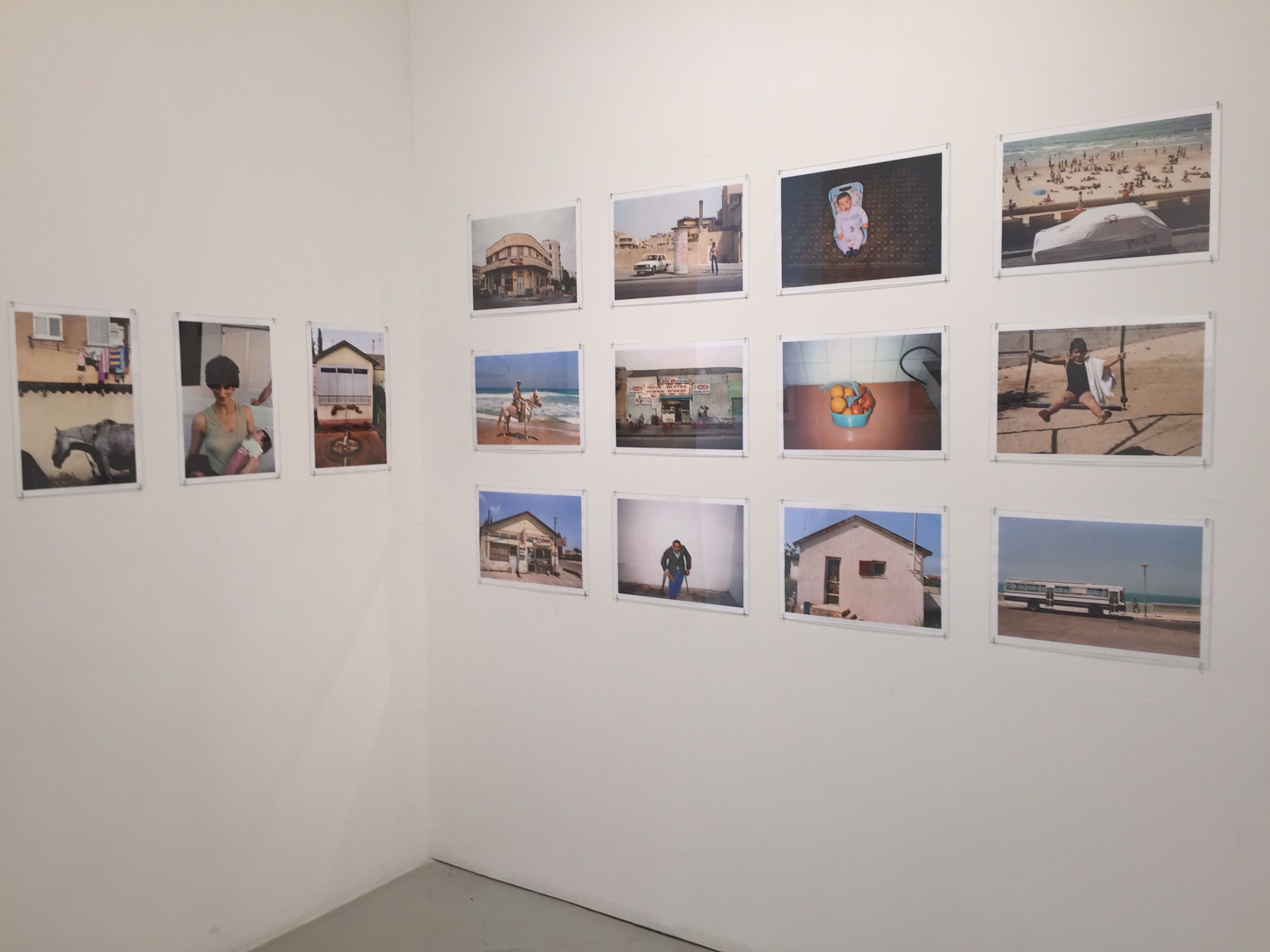 Igael Shemtov, image 3 of 3