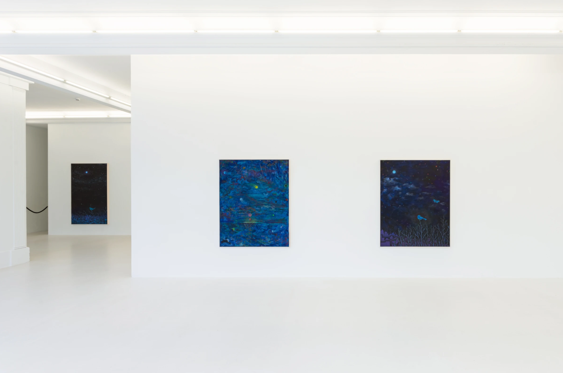 Dylan Solomon Kraus, ExHypnosis at Peres Projects, photo 5