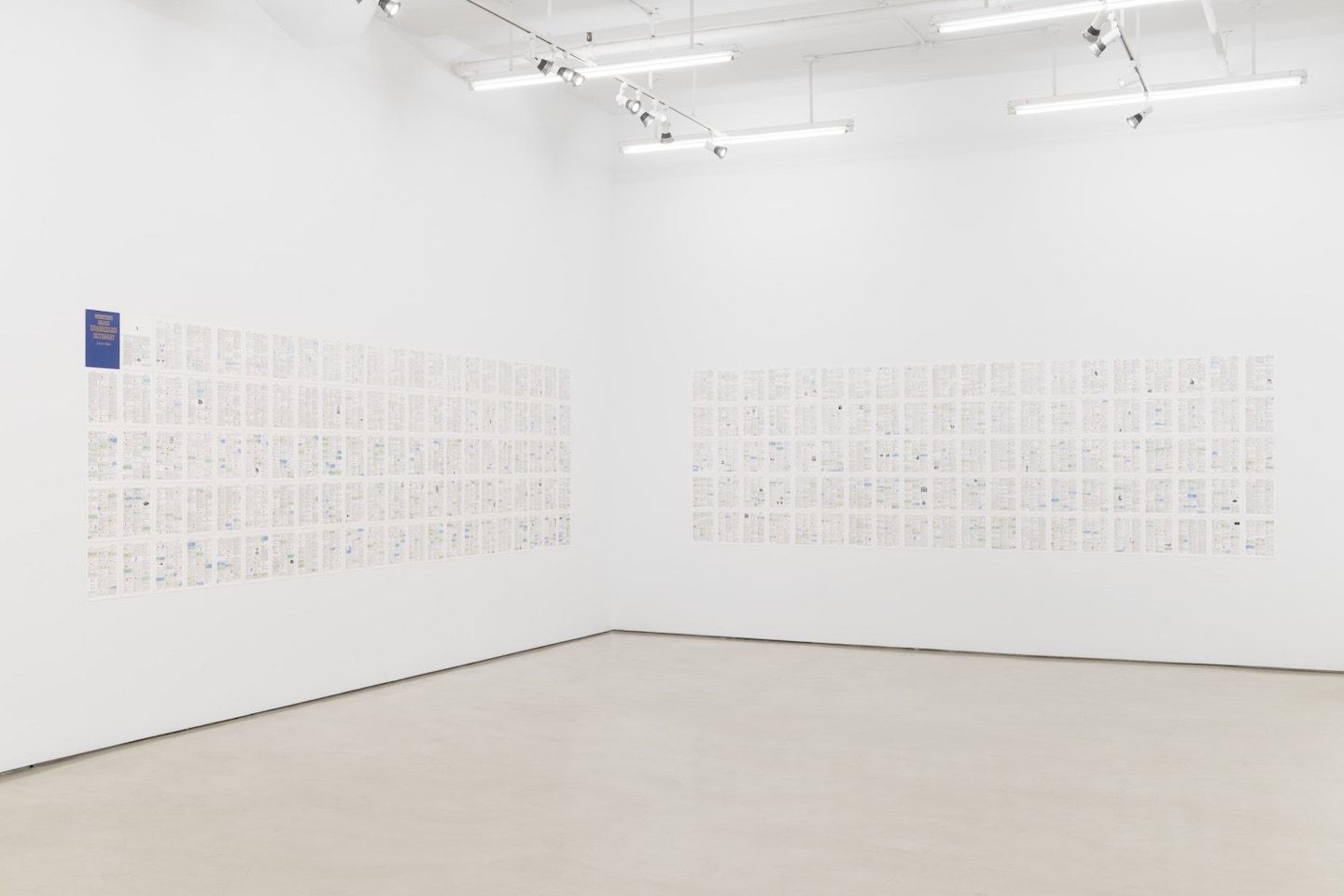Luis Camnitzer, Arbitrary Order at Alexander Gray Associates, photo 2