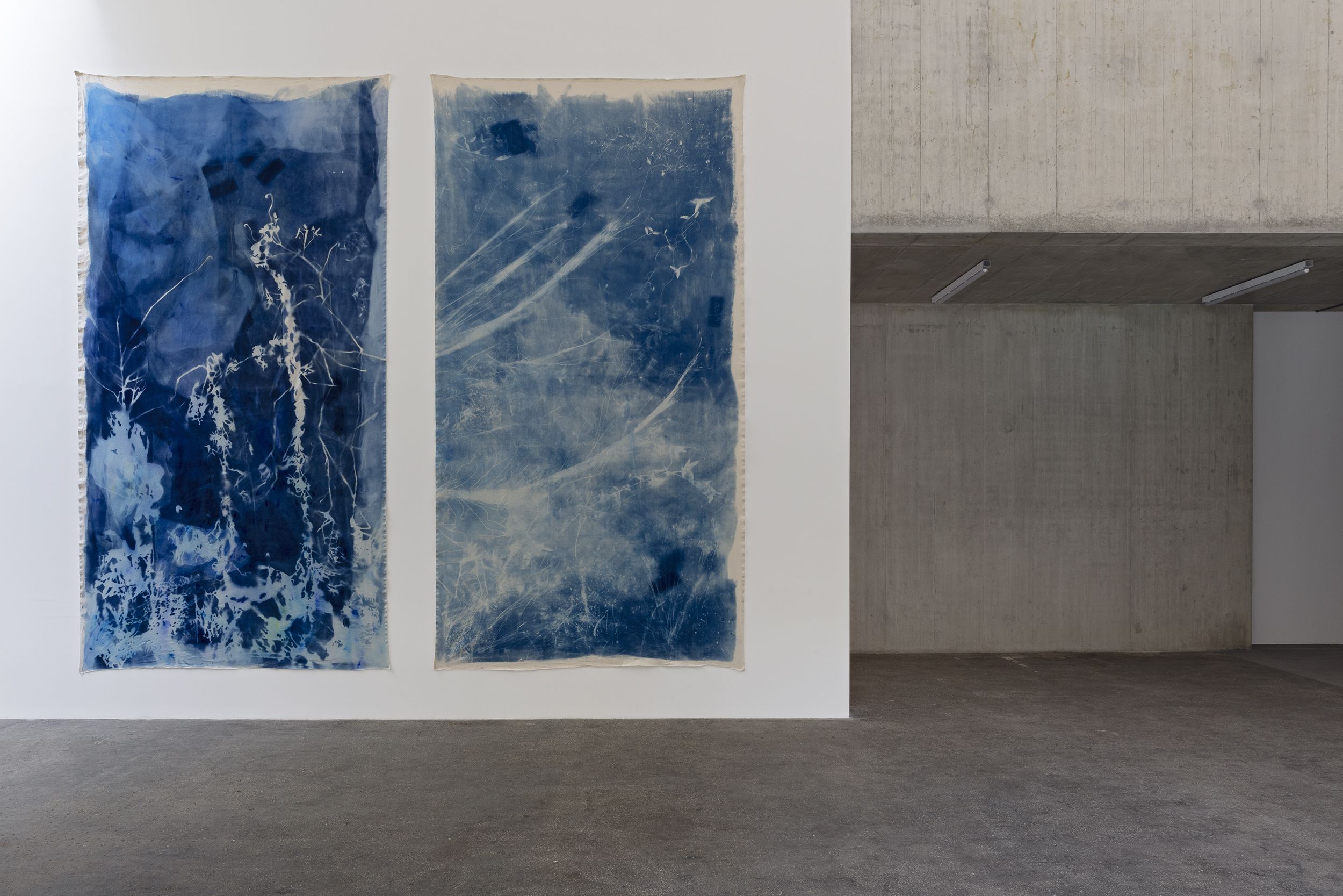 Whispers From Tides and Forests, Whispers From Tides and Forests at Kunsthaus Baselland, photo 7