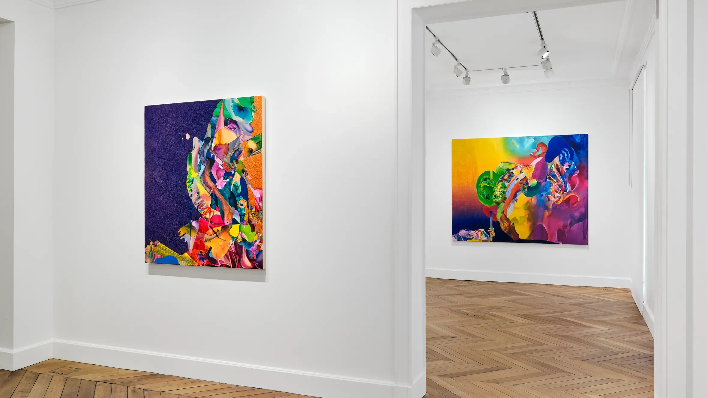 Ilana Savdie, Ectopia at White Cube, photo 2