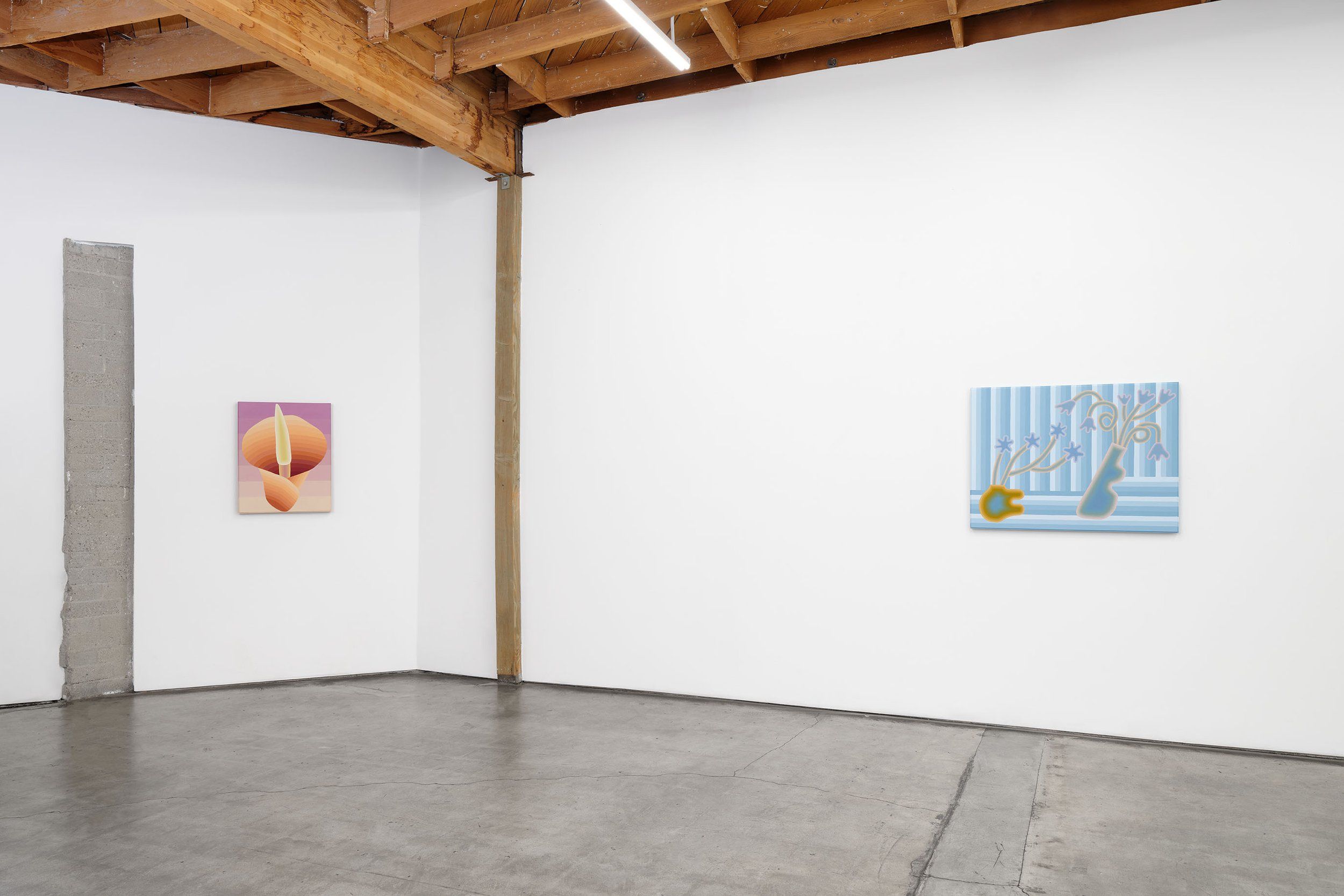 Annie Pendergrast, Taut at Megan Mulrooney, photo 3