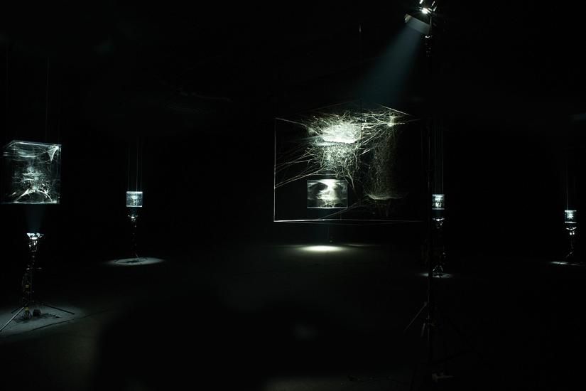Tomás Saraceno, Tomás Saraceno at Tanya Bonakdar, photo 2