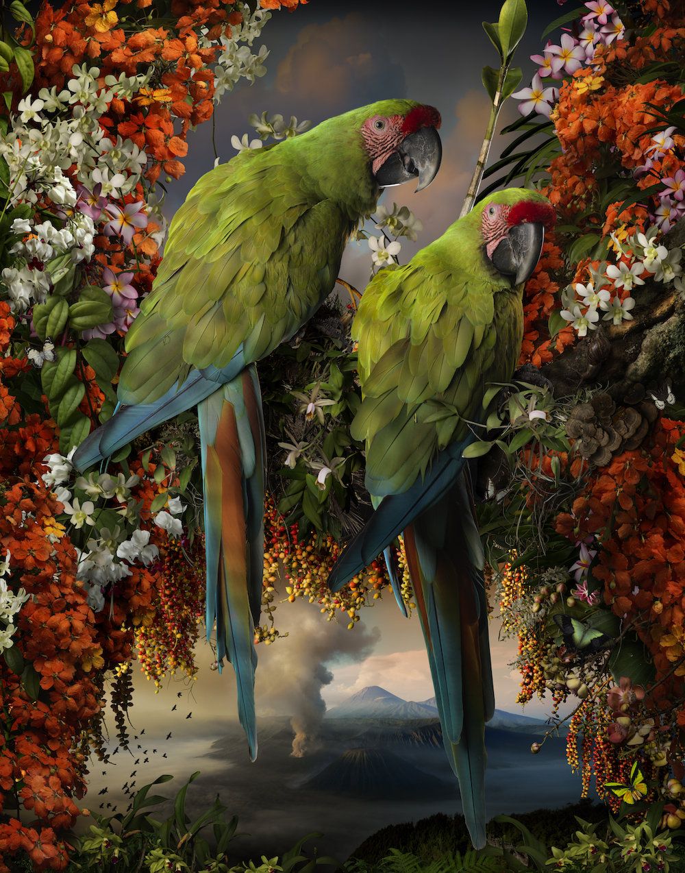 Creatures, Creatures at Olsen Gruin, photo 4