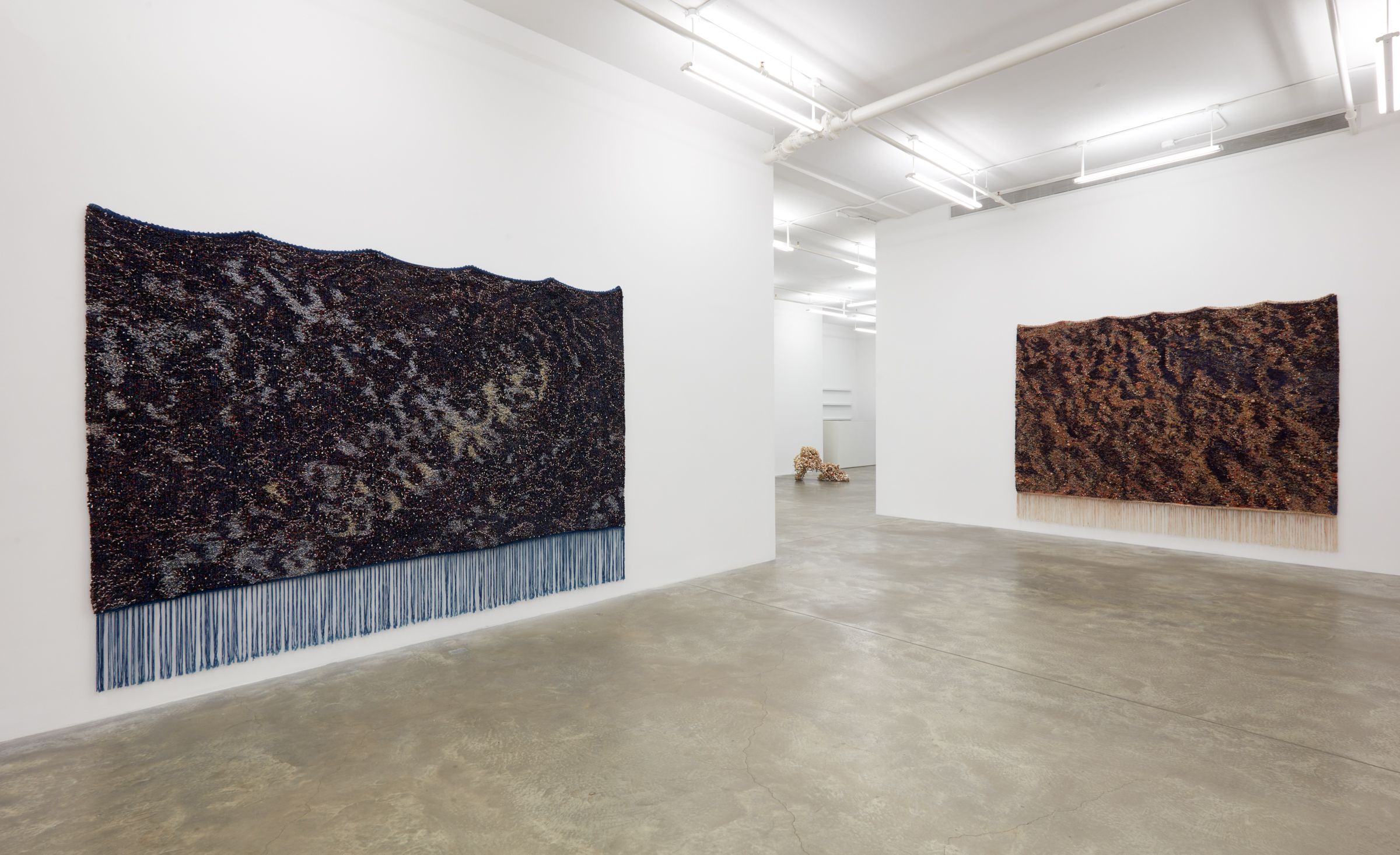 Igshaan Adams, Vastrapplek at Casey Kaplan, photo 4