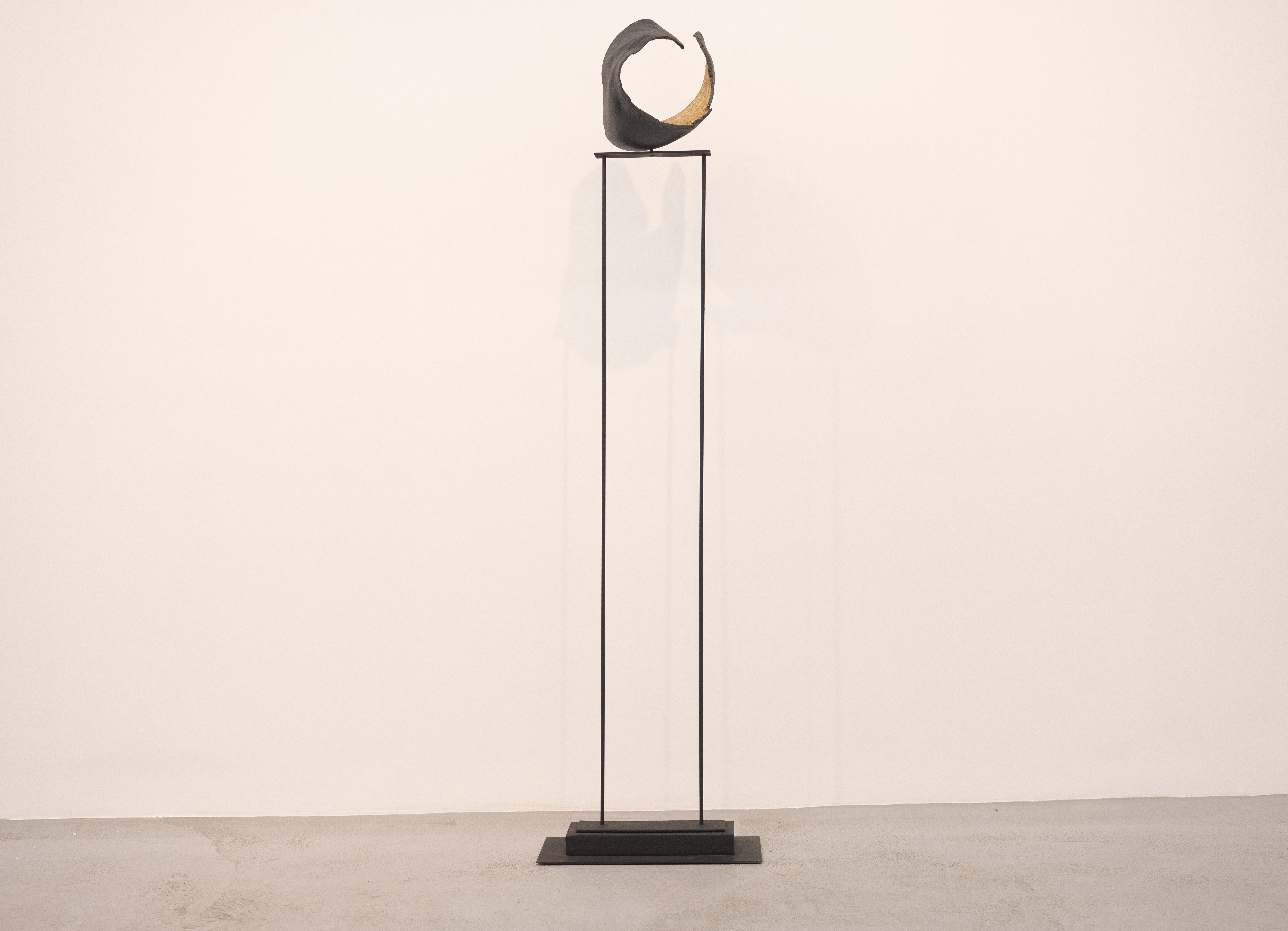 Occurrence: The Art of Nature Meets Science, Occurrence: The Art of Nature Meets Science at Rele, photo 8