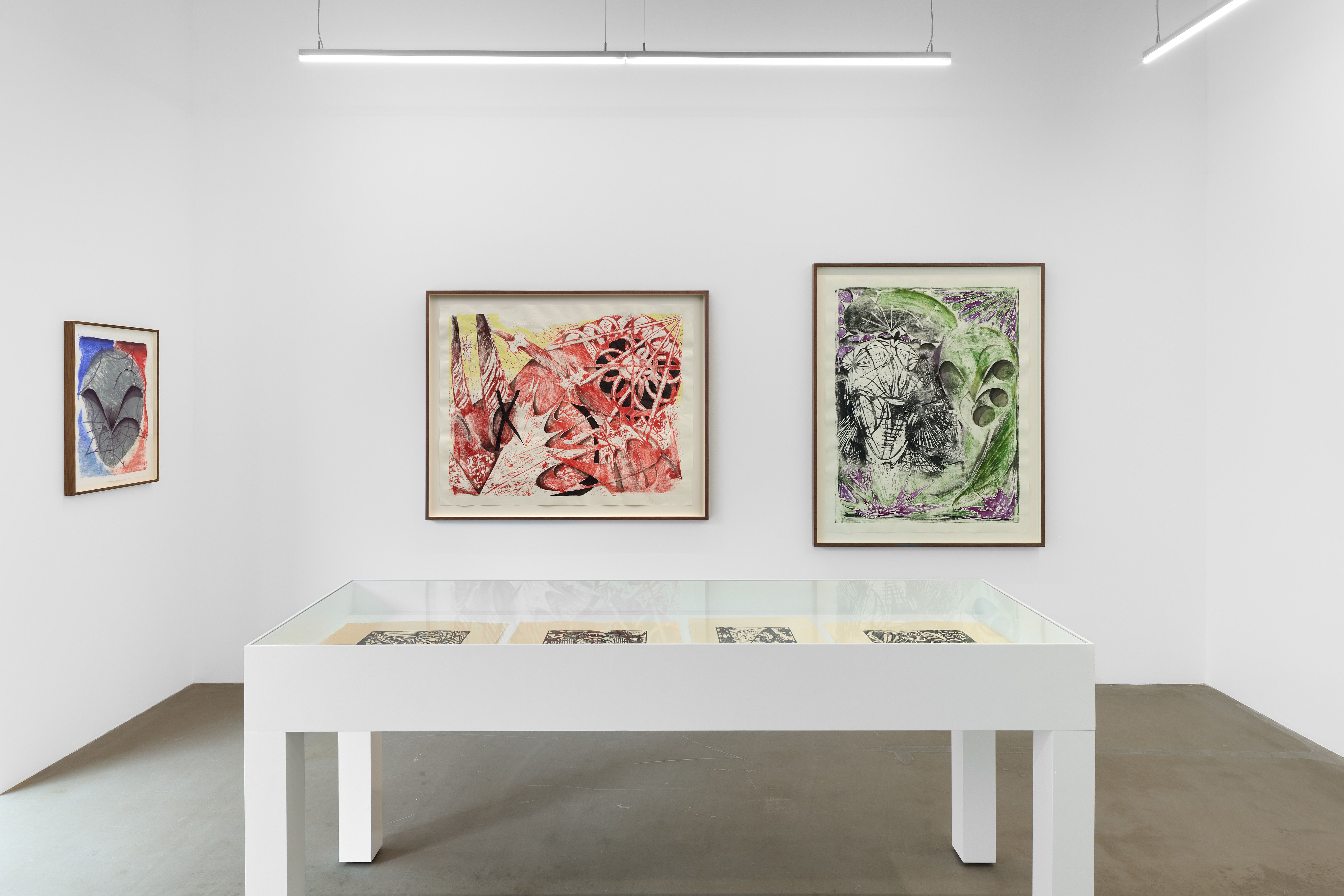 Sean Steadman, Giant Atoms at Project Native Informant, photo 2
