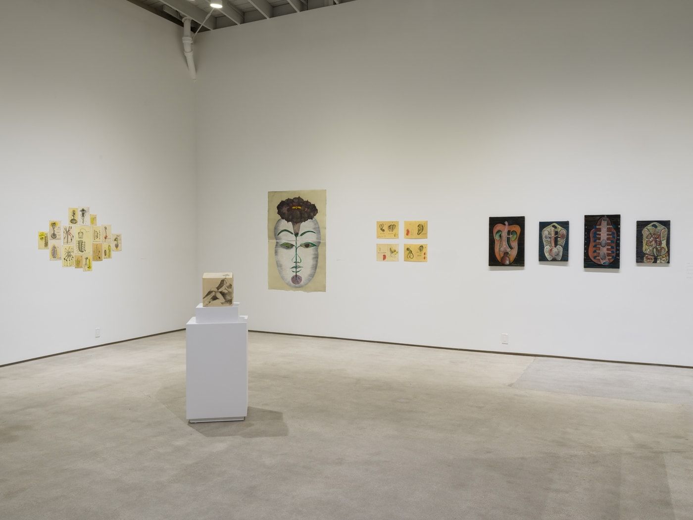 Sandra Vásquez de la Horra, The Awake Volcanoes at ICA LA, photo 4