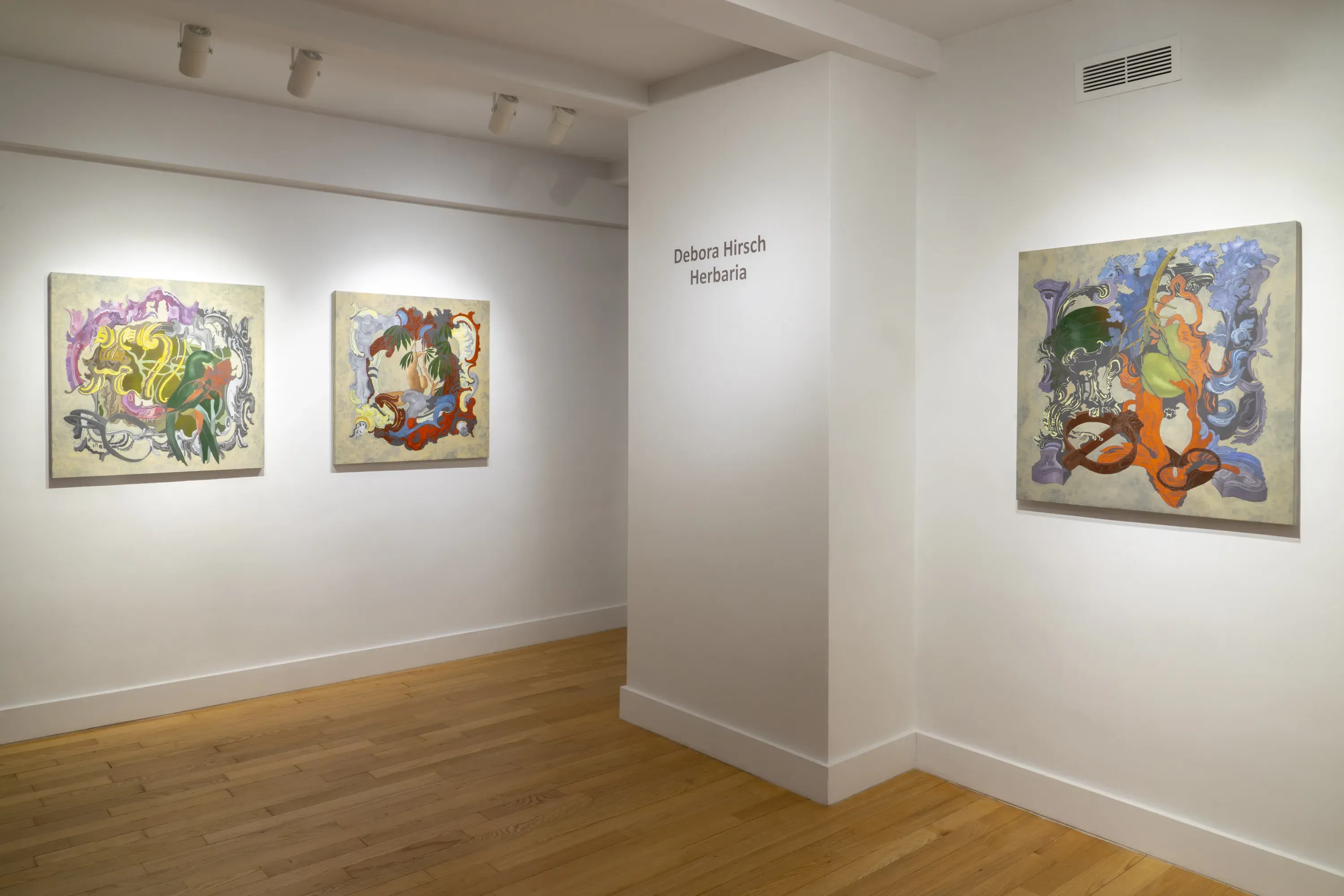 Debora Hirsch, Herbaria at Hutchinson Modern & Contemporary, photo 5