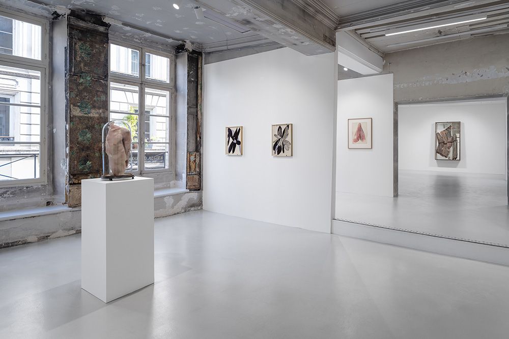Berlinde De Bruyckere, Need at Continua, photo 5