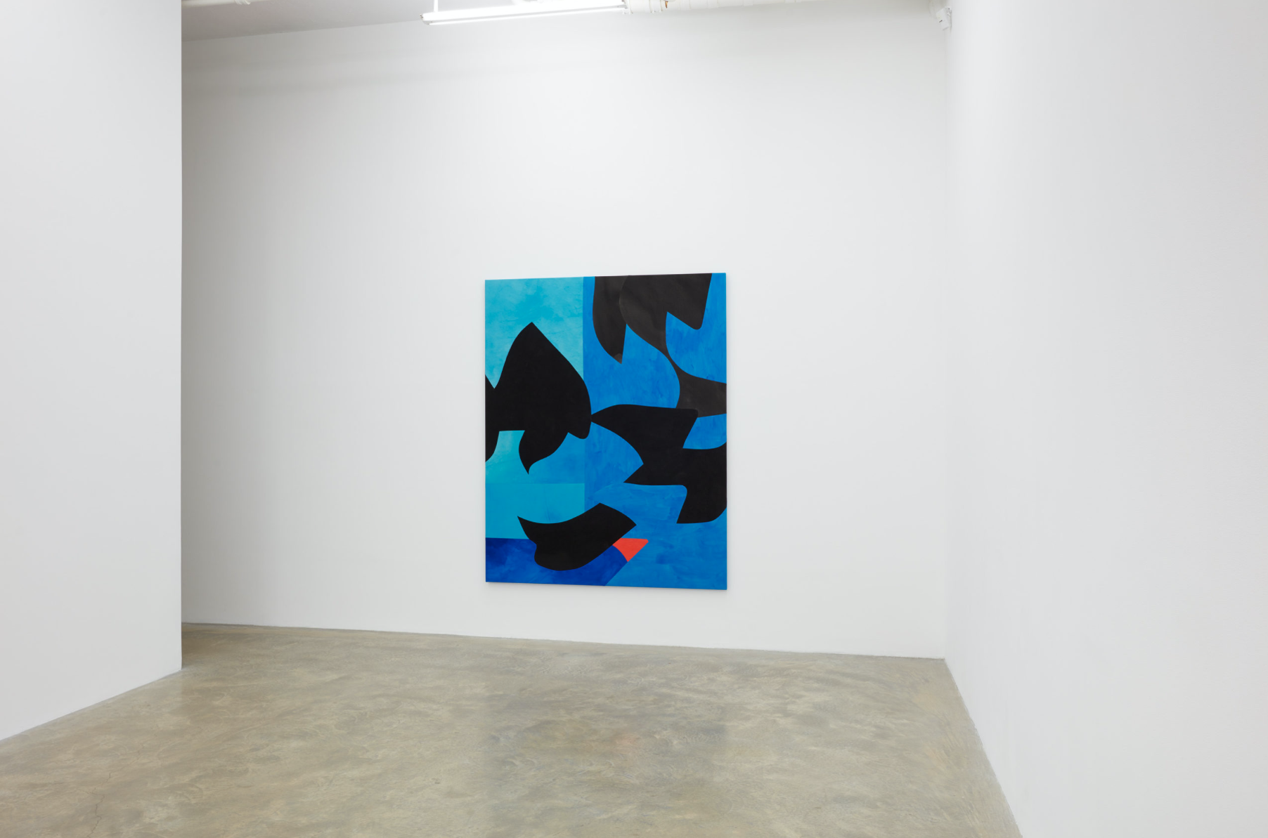 Sarah Crowner, Sarah Crowner at Casey Kaplan, photo 7