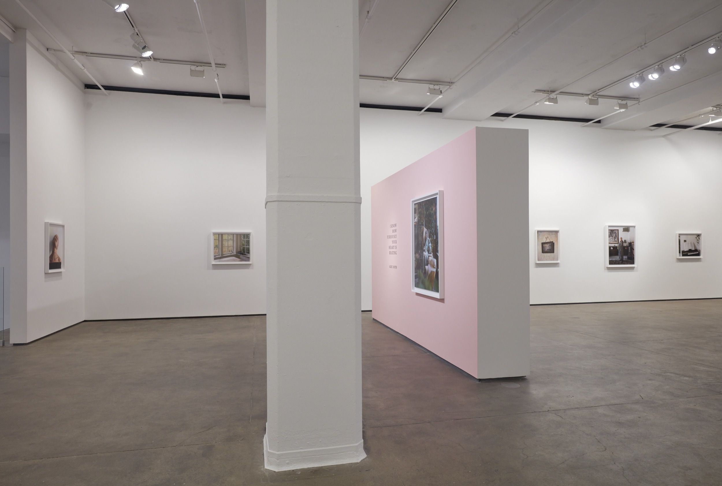 Installation view 4