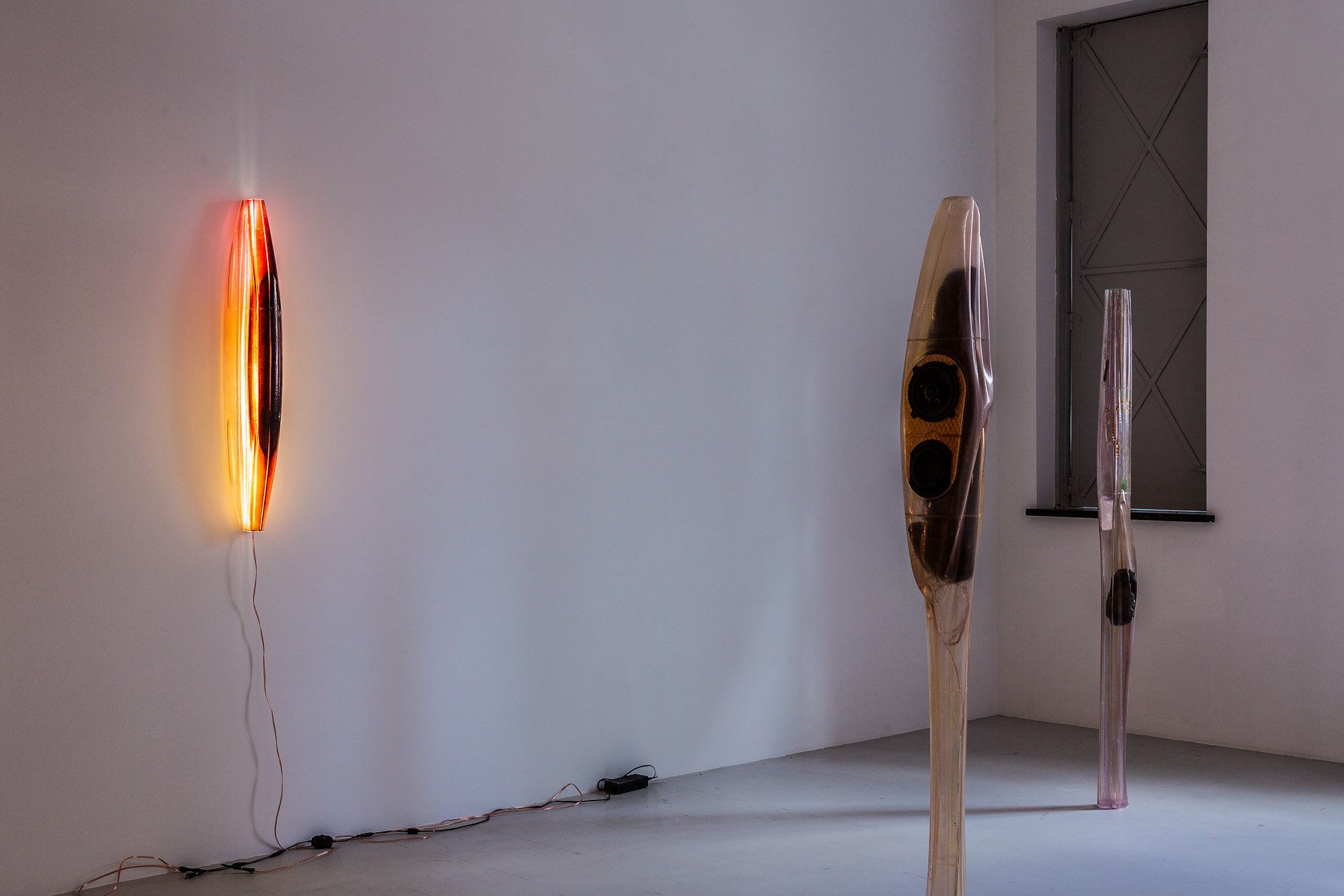 Kim Farkas, image 3 of 7