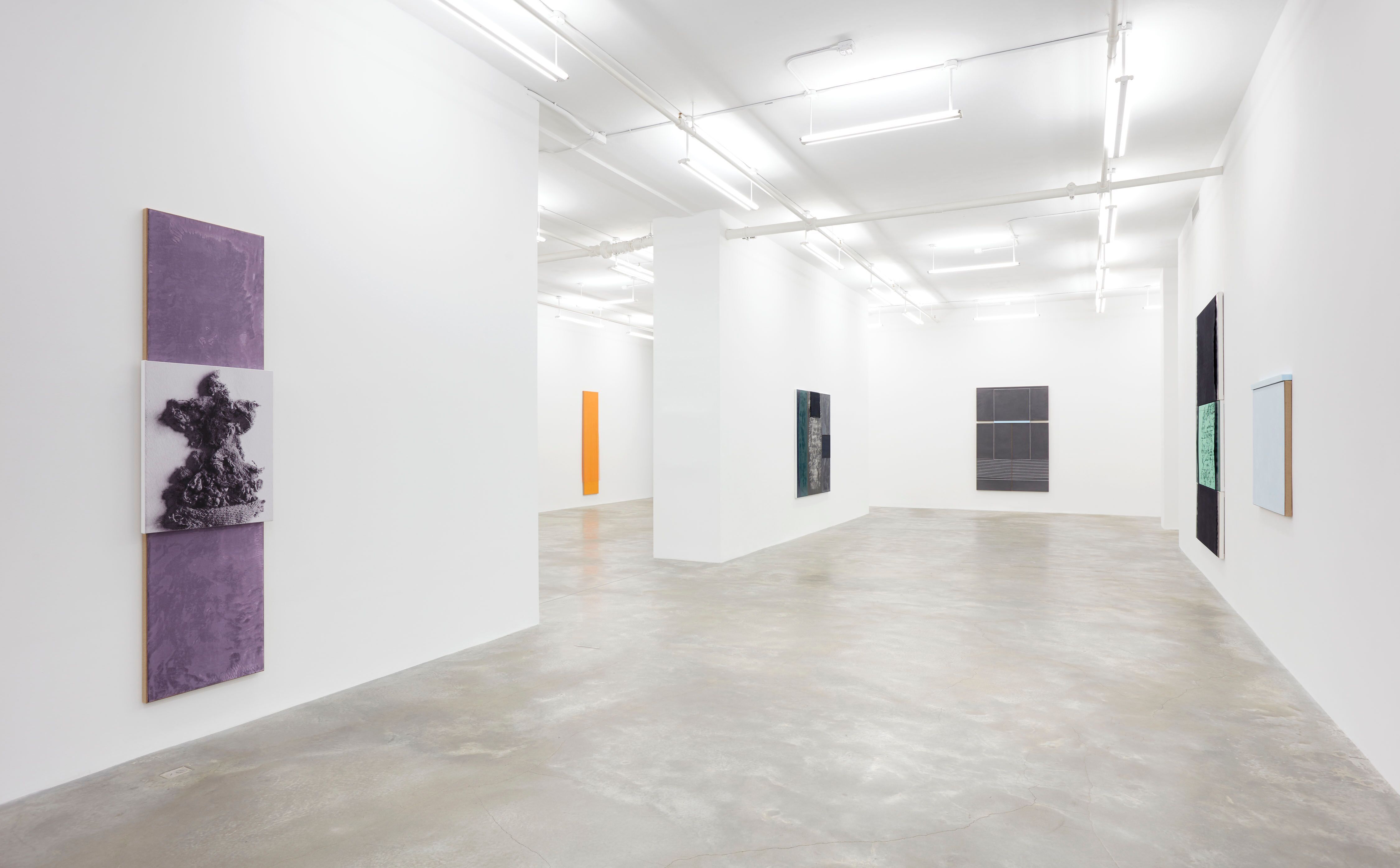 N. Dash, N. Dash at Casey Kaplan, photo 2