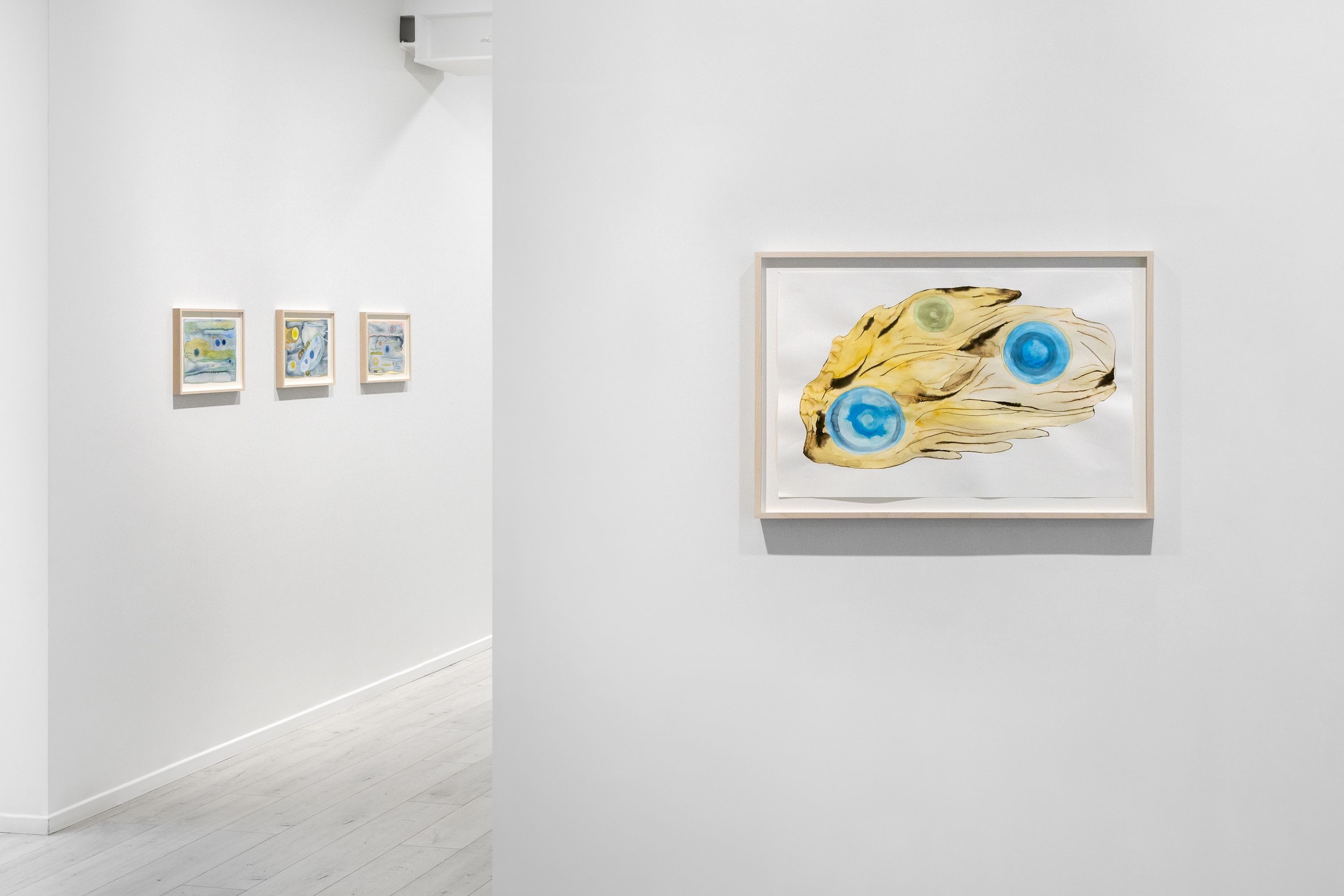 Carin Ellberg, Coastal Settlers and Species from the Sea at Andréhn-Schiptjenko, photo 14