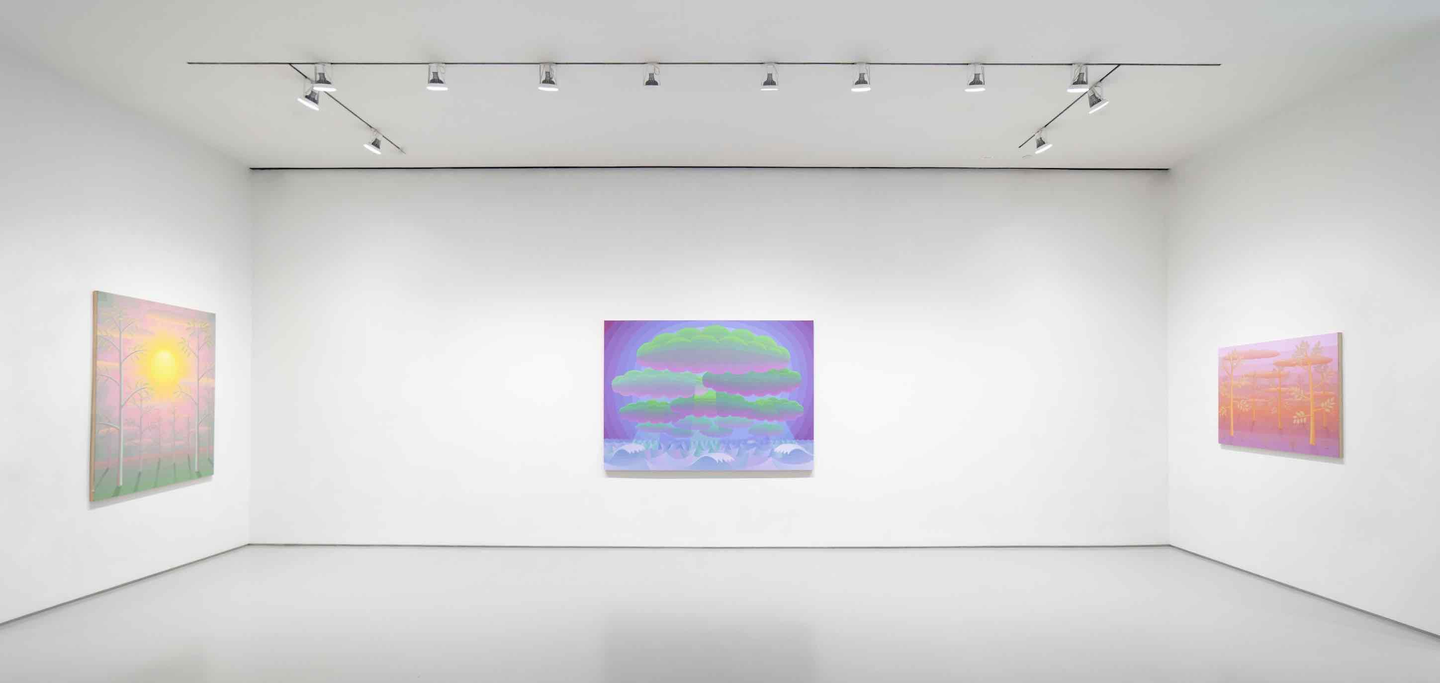 Amy Lincoln, Radiant Spectrum at Sperone Westwater, photo 4
