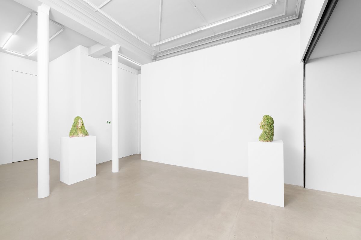 Zoe Williams, Tendresse Tendril at Ciaccia Levi, photo 3