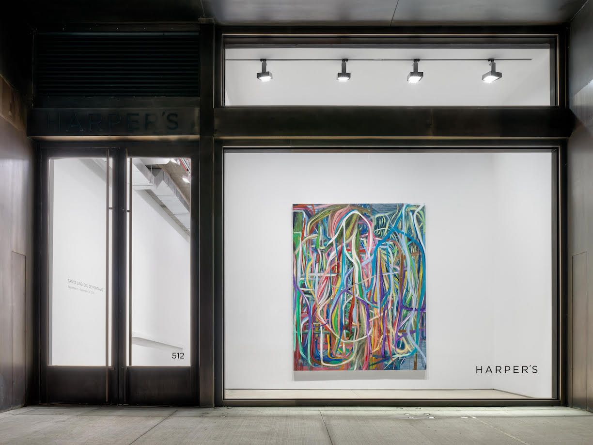 Tanya Ling, Col de Montagne at Harper's Chelsea 512, photo 4