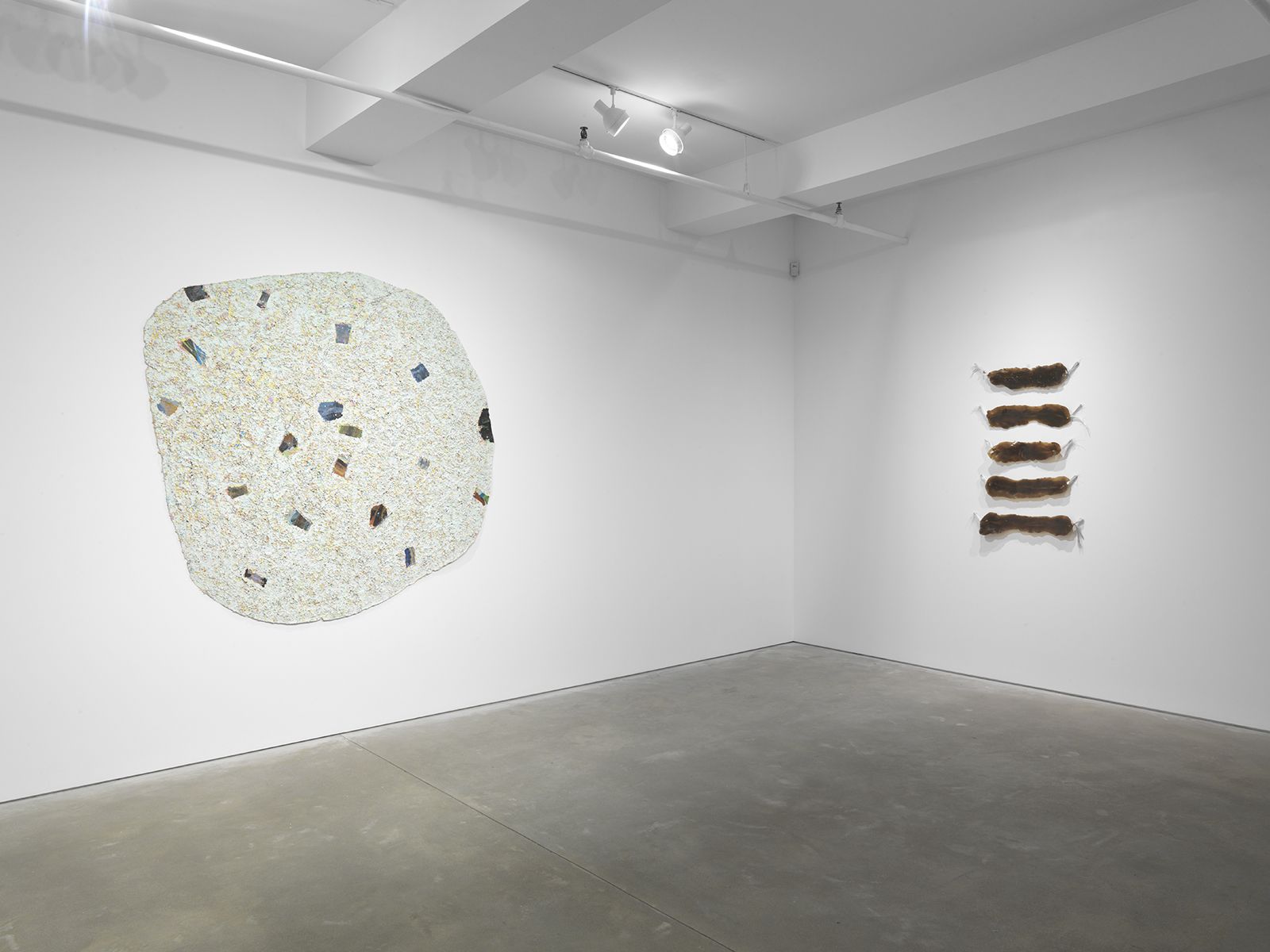 Skins: Body as Matter and Process, Skins: Body as Matter and Process at Garth Greenan, photo 3
