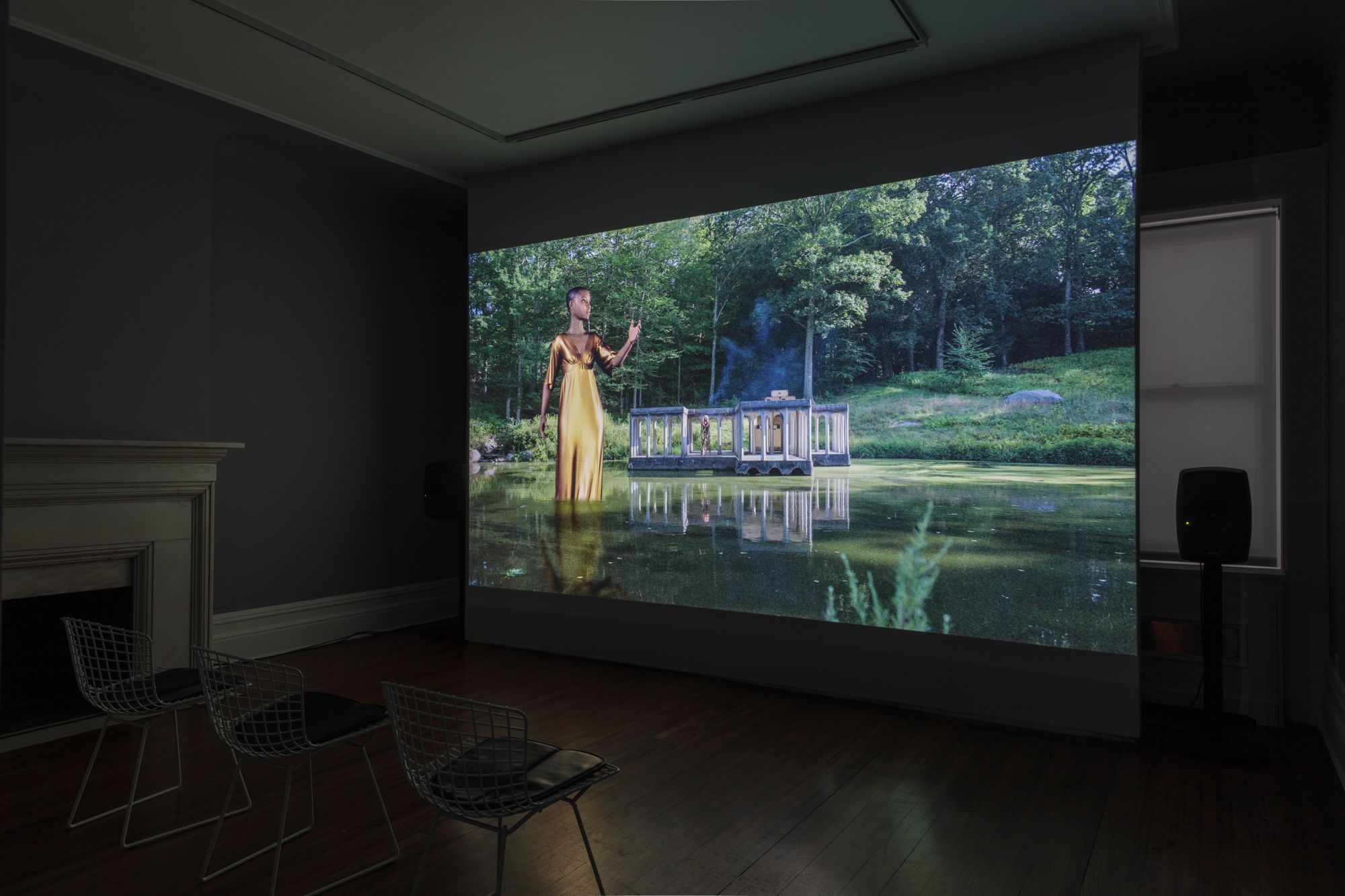 David Hartt, Et in Arcadia Ego at David Nolan, photo 6