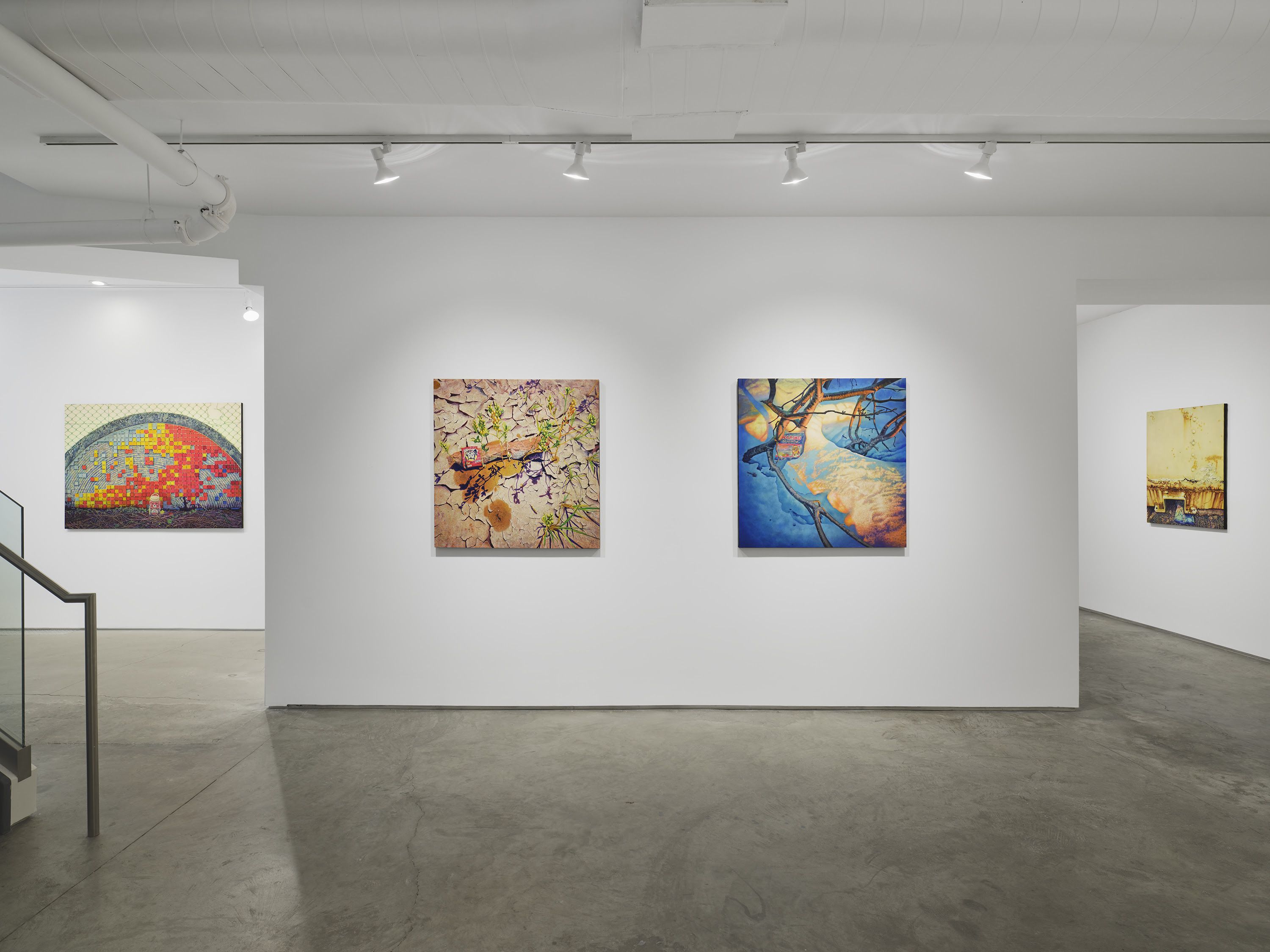 Yasushi Ikejiri, With Fallen Leaves at Seizan Gallery, photo 3