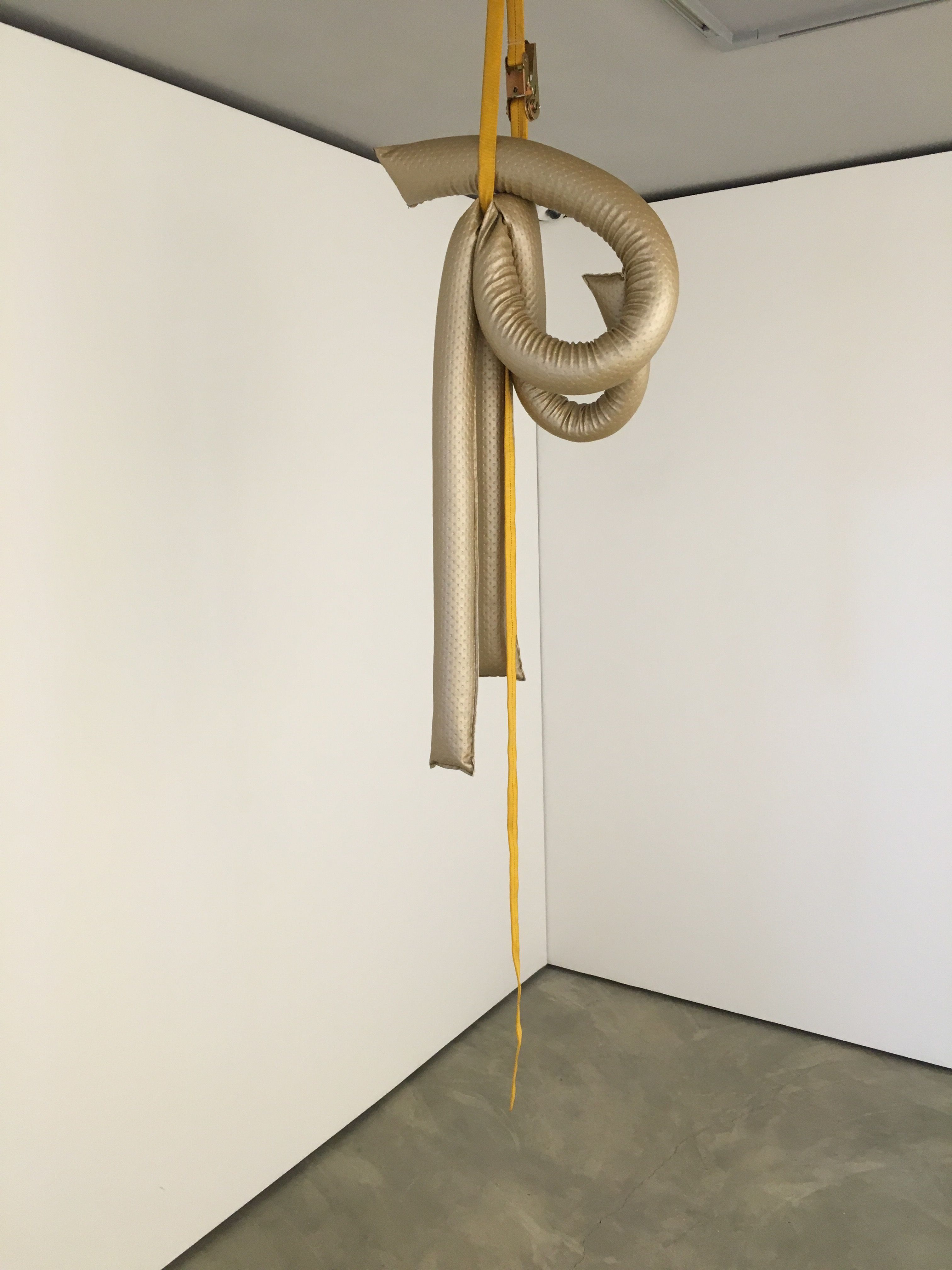 Phantom Limb, image 4 of 4