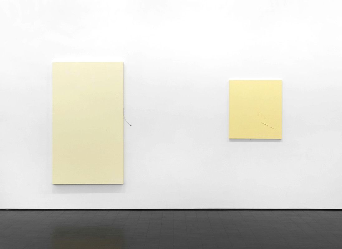 Monika Baer, Die Einholung at Barbara Weiss, photo 6