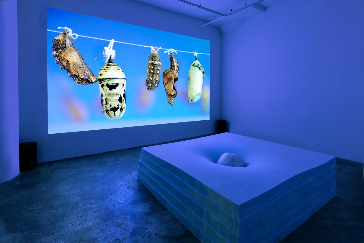 Virginia Lee Montgomery, Dream Cocoon at Hesse Flatow, photo 6