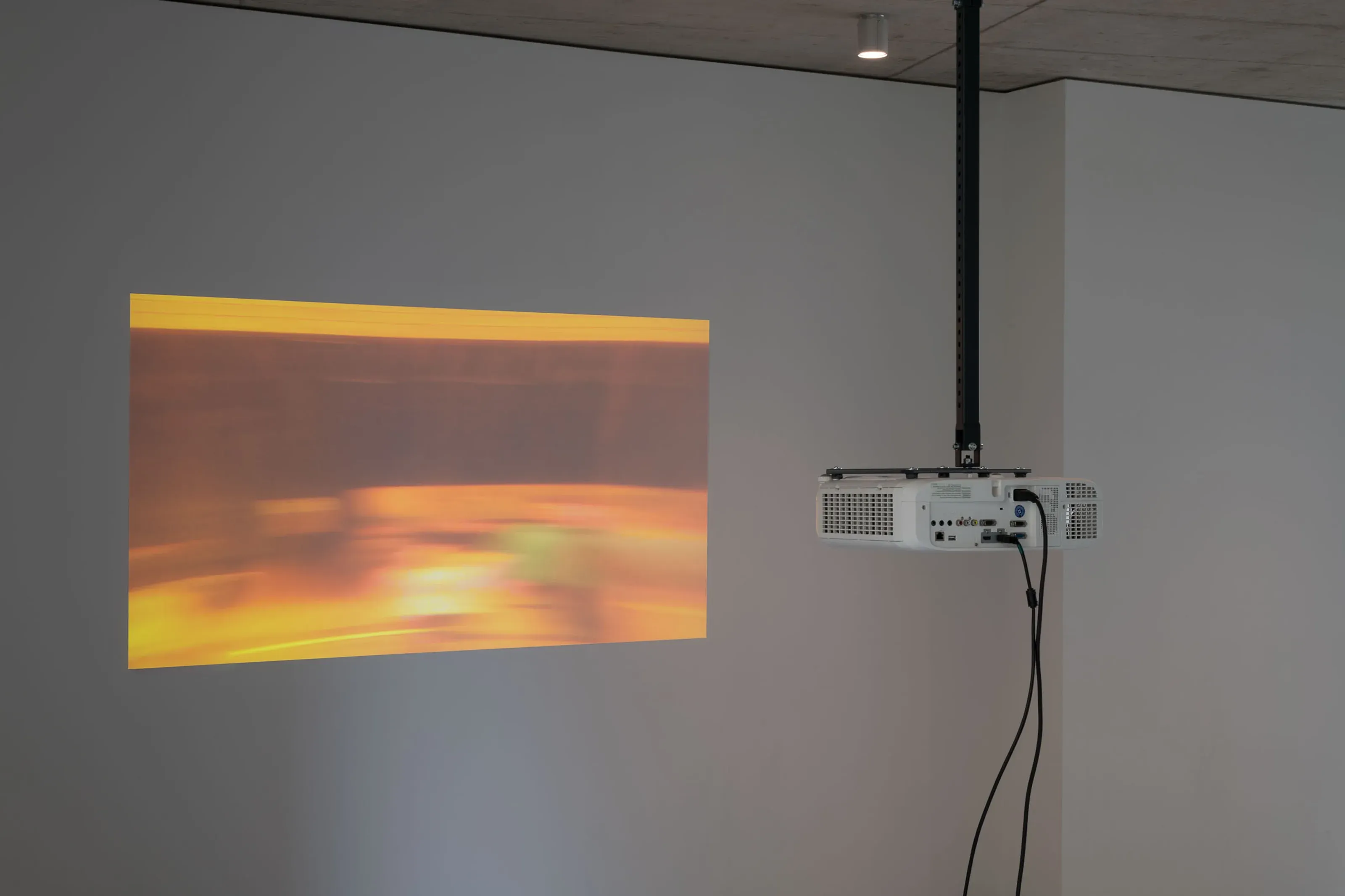 Dora Budor, Old World at Molitor, photo 2