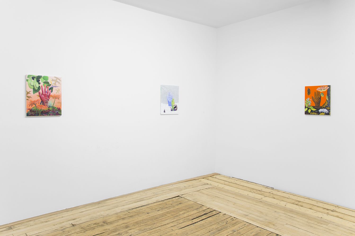 Shaun Krupa, Lost Body at Safe, photo 5