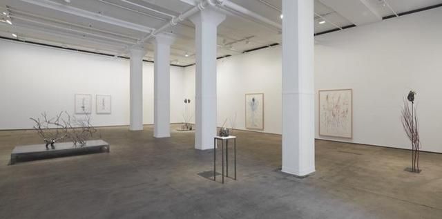 Installation view 6