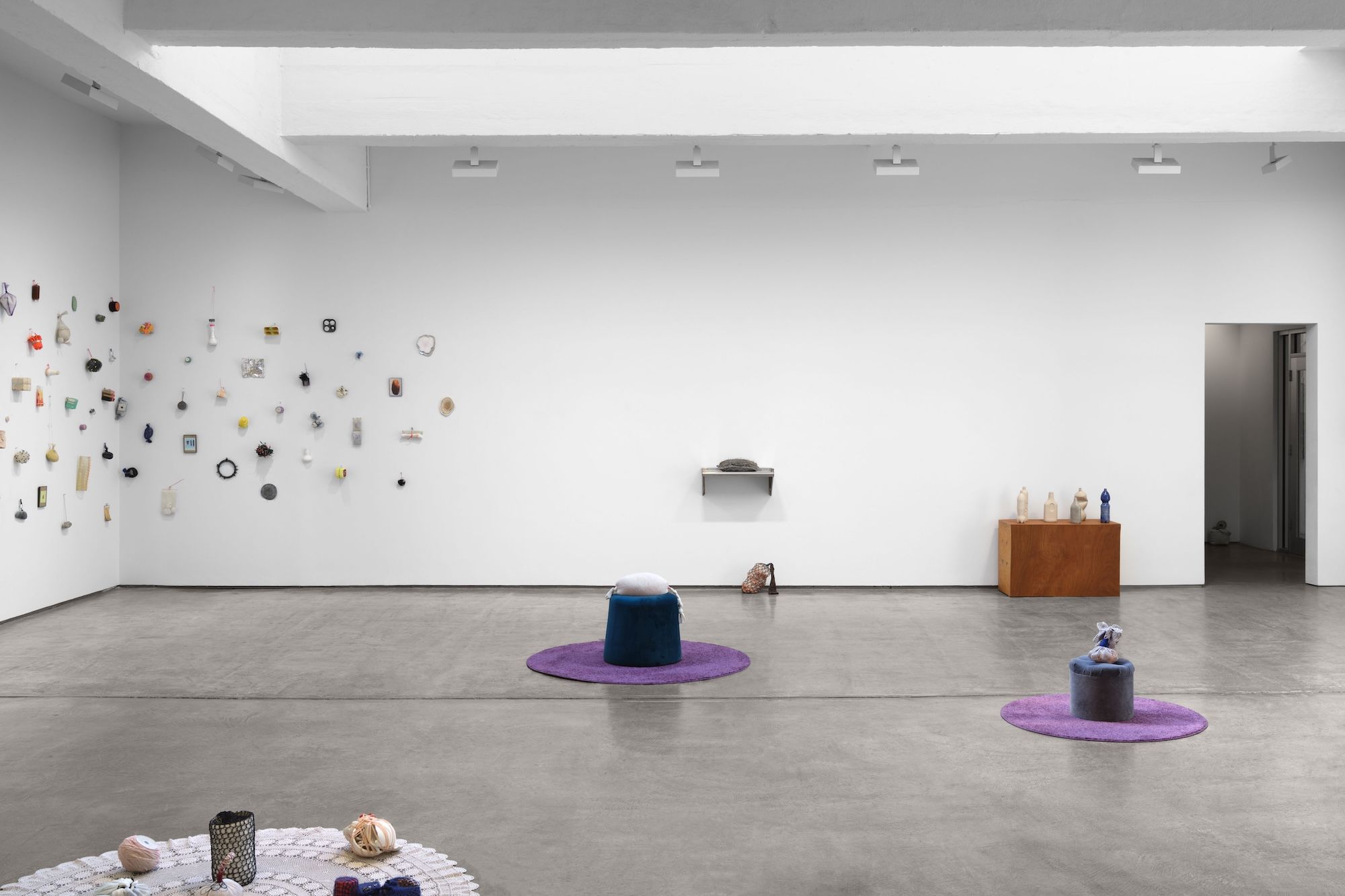 Veronica Ryan, Retrieval at Paula Cooper, photo 3