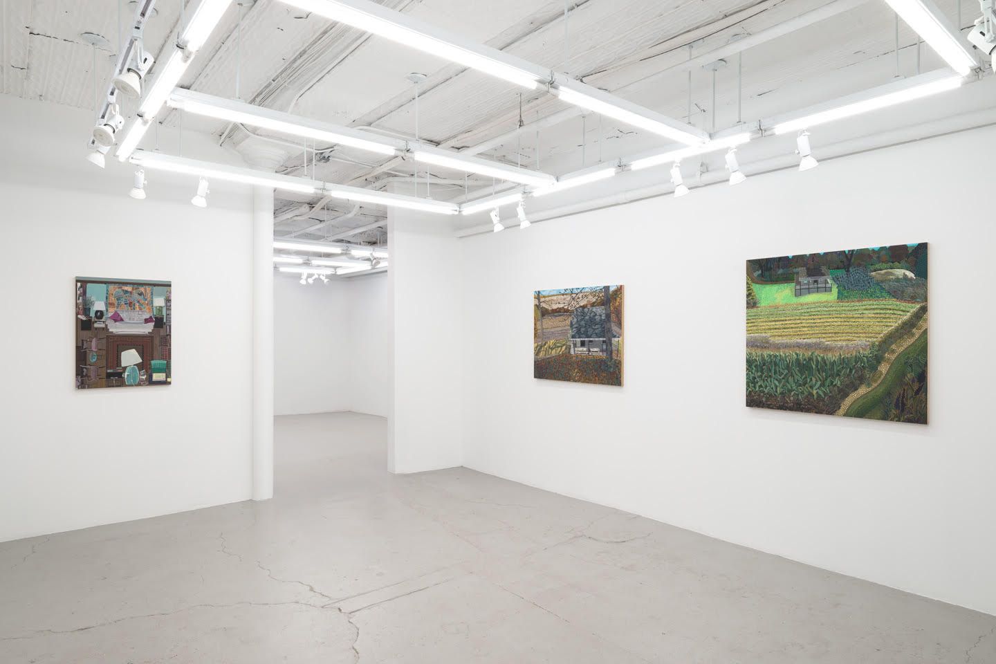 Ann Toebbe, Field and Stream of Consciousness at Nicelle Beauchene, photo 4