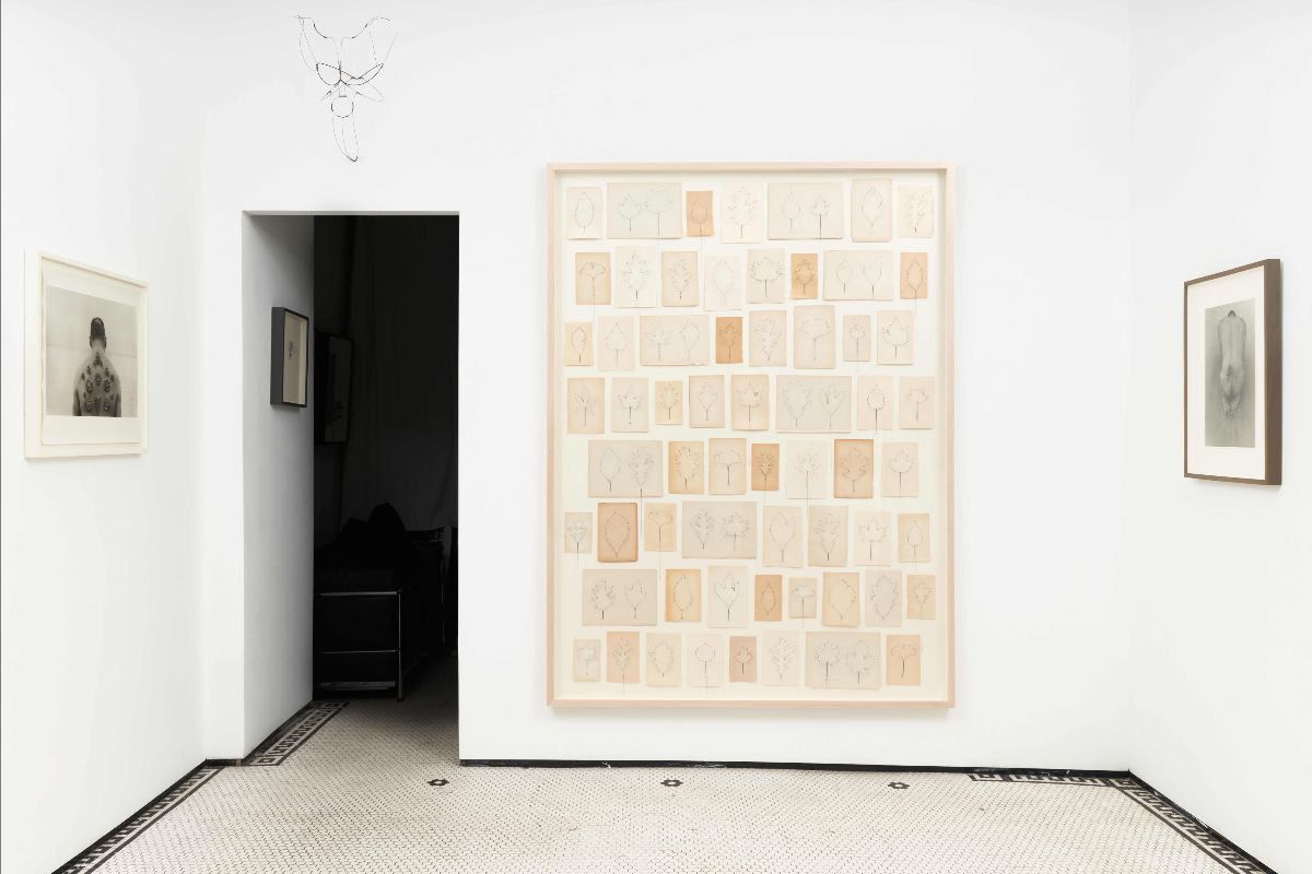 Eric Rhein, Sweetness on the Mountain at Fierman, photo 2