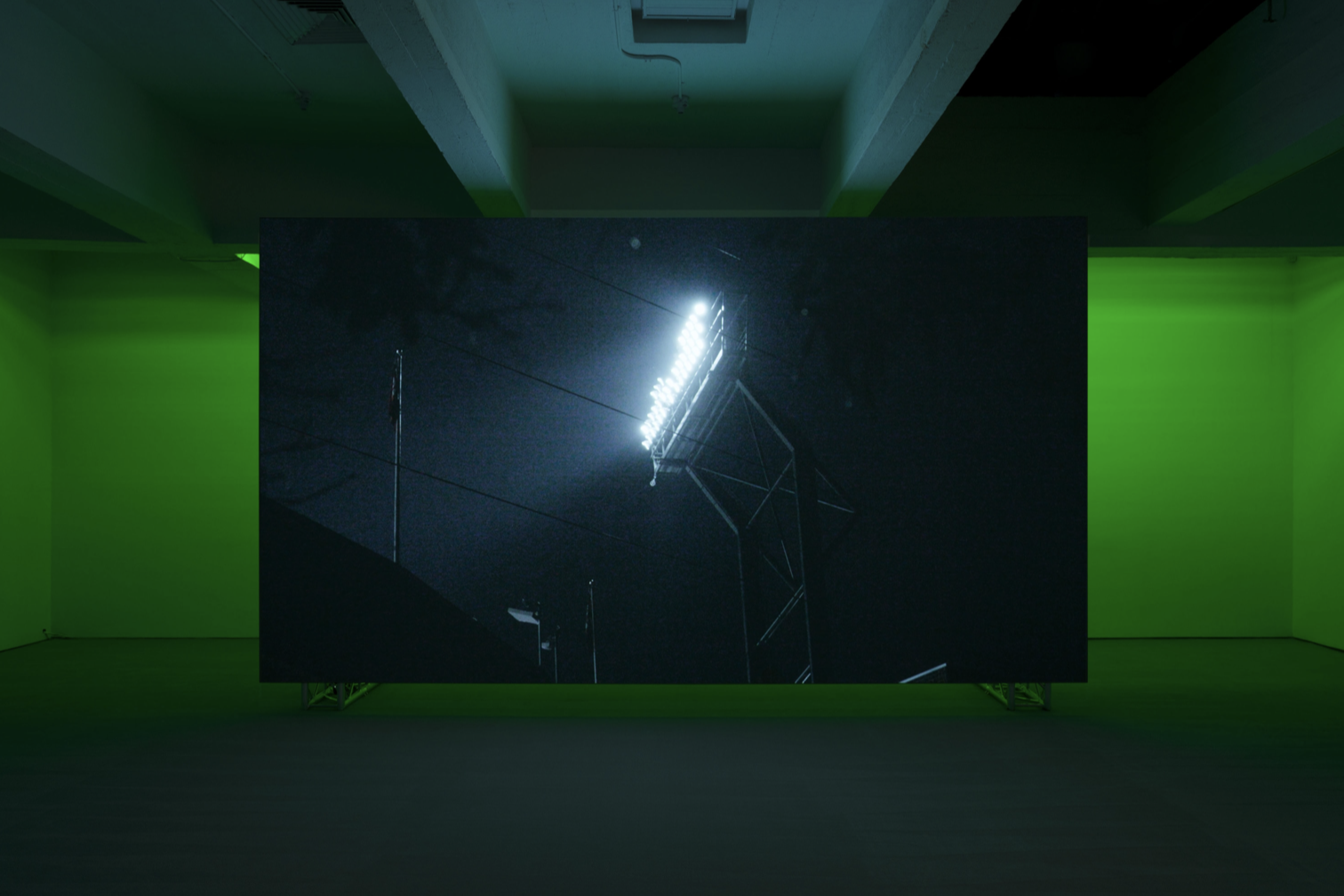 Paul Pfeiffer, Red Green Blue at Paula Cooper, photo 4