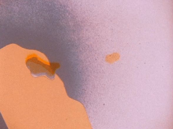 Robert Breer, Kamikaze at Simon Preston, photo 3