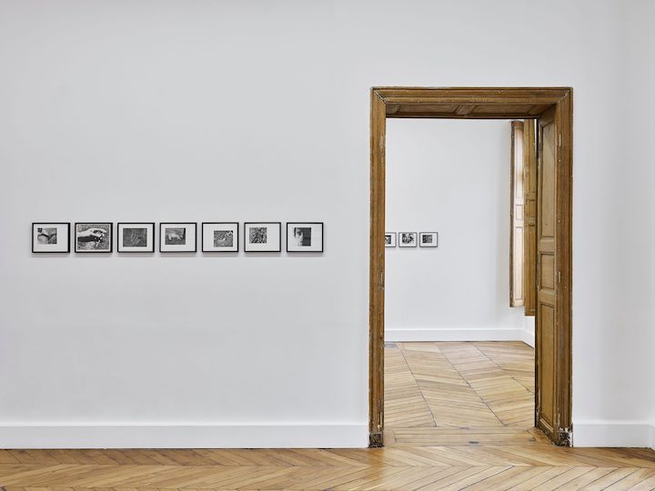 Hervé Guibert & David Wojnarowicz, For an Early Death at Fitzpatrick Gallery, photo 6