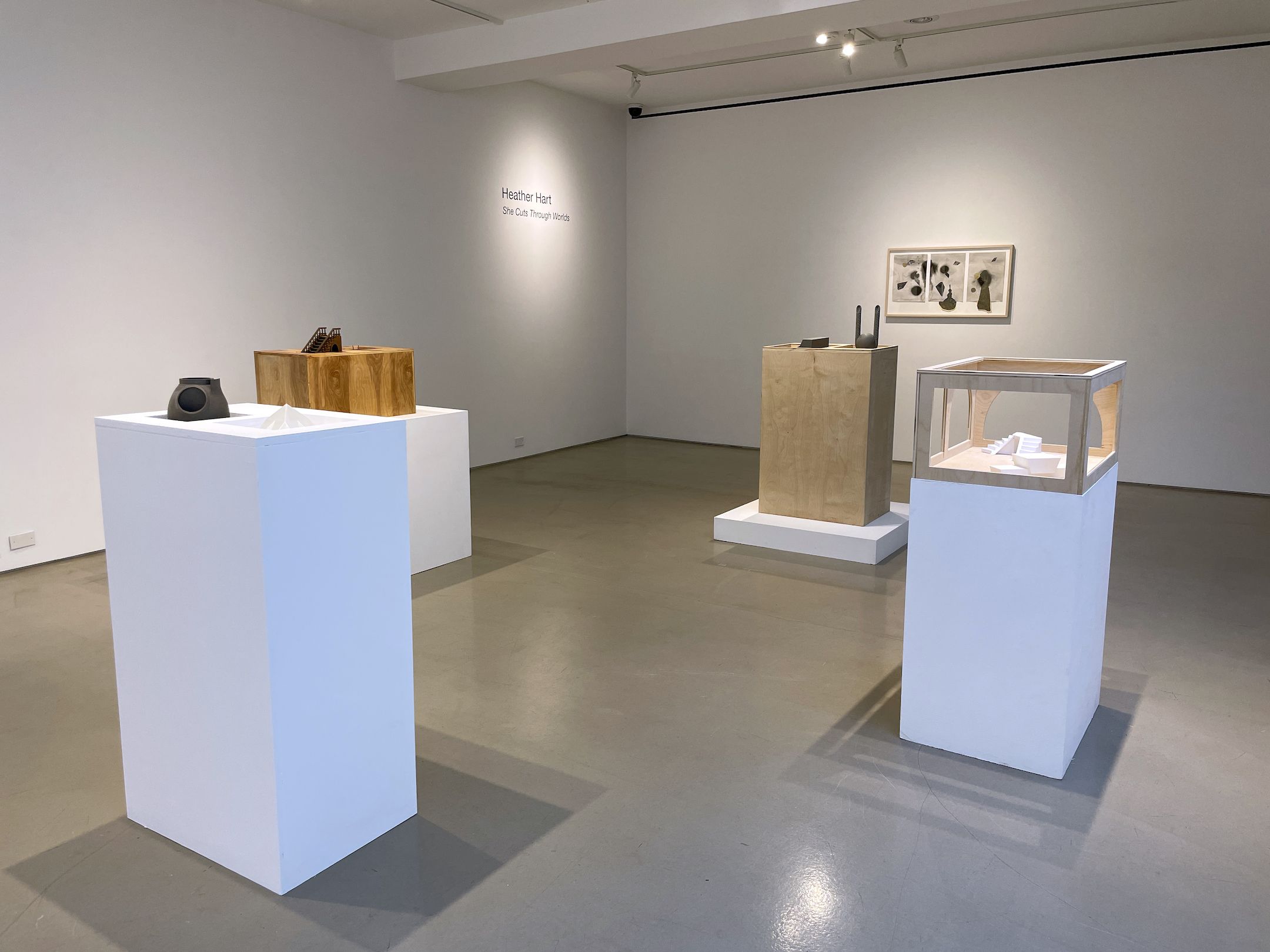 Heather Hart, She Cuts Through Worlds at Davidson Gallery, photo 2