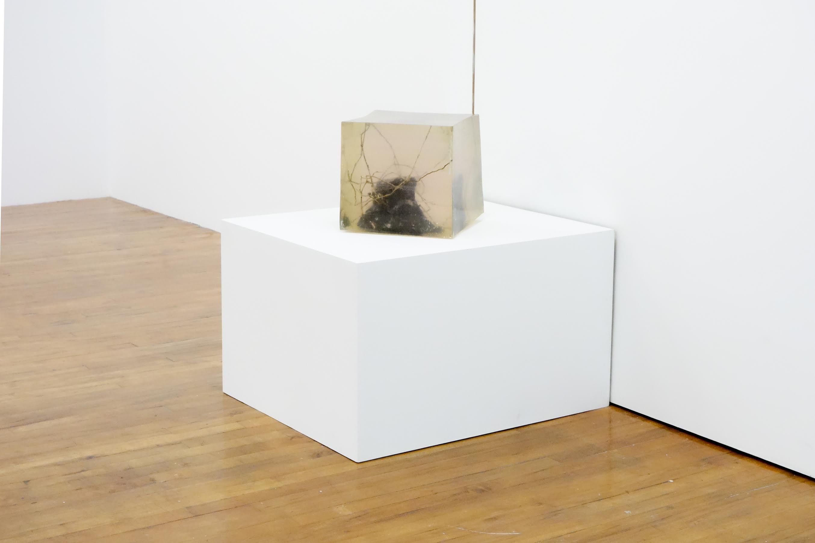 Installation view 4