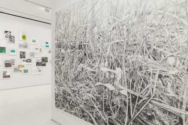 Kim Beck, A Great Piece Of Turf at Mixed Greens, photo 3