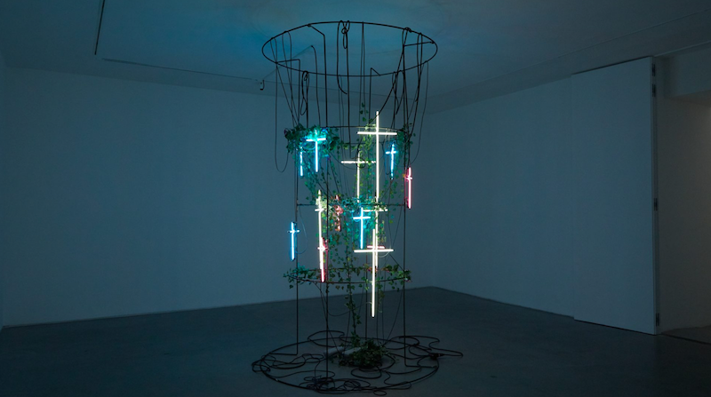 Bianca Bondi, Moths Drink the Tears of Sleeping Birds at VNH, photo 3